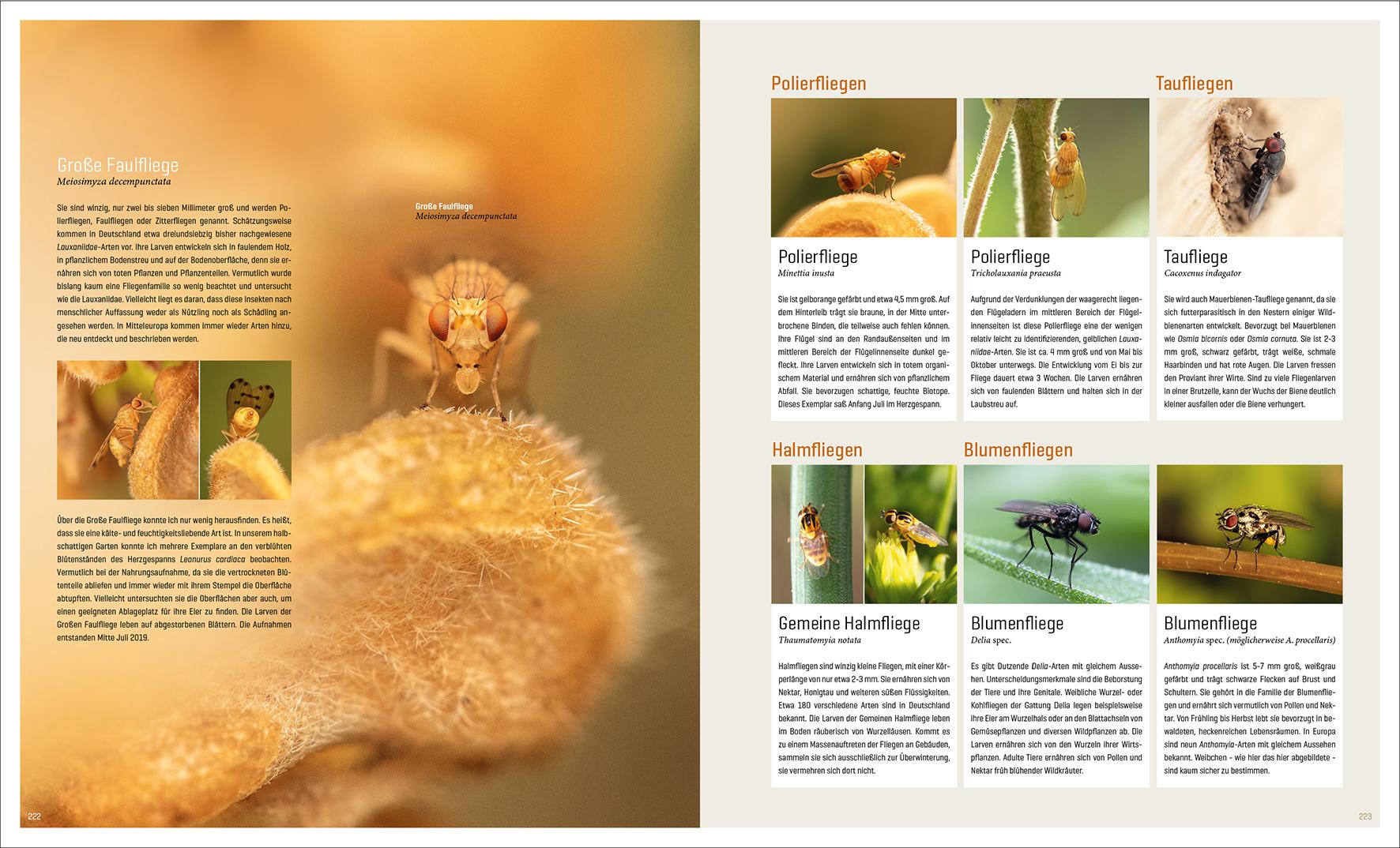 Beispielinhalt (Bild) Mein Artenretter Garten