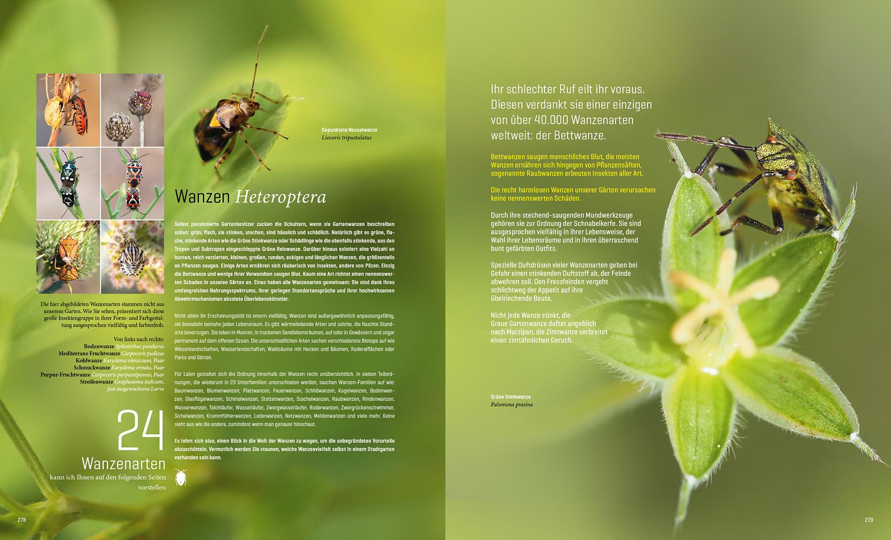 Beispielinhalt (Bild) Mein Artenretter Garten