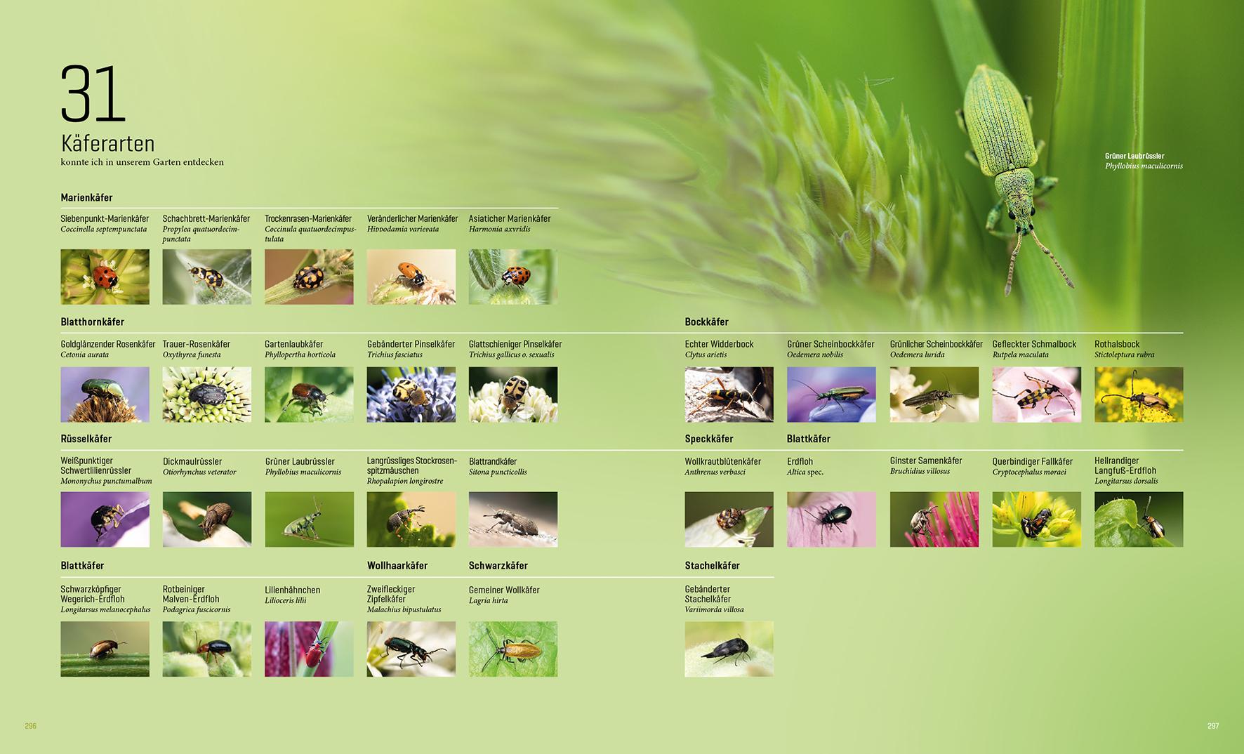 Beispielinhalt (Bild) Mein Artenretter Garten