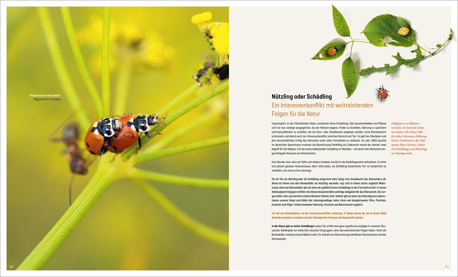 Beispielinhalt (Bild) Mein Artenretter Garten