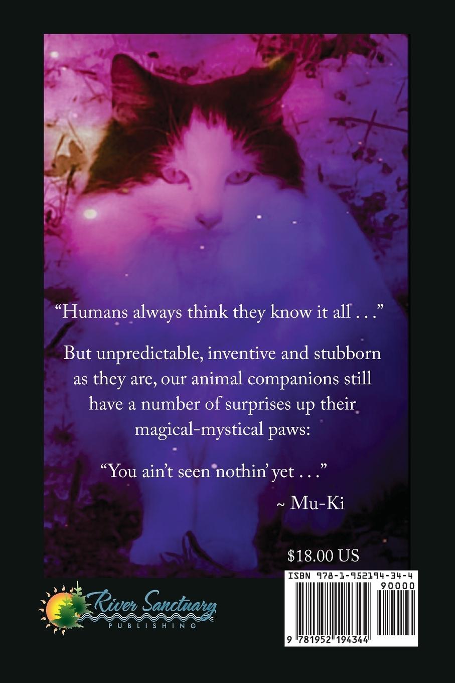 Rückseitencover Covered in Cats