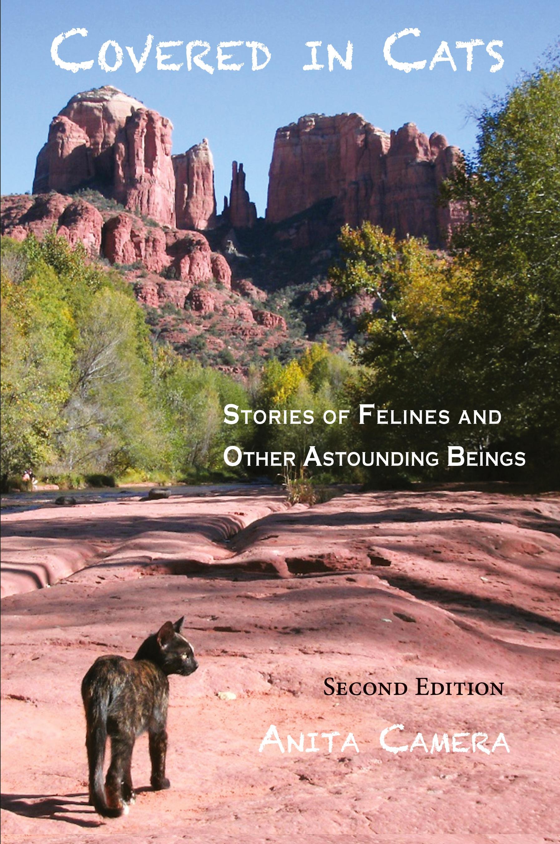 Vorderes Coverbild Covered in Cats