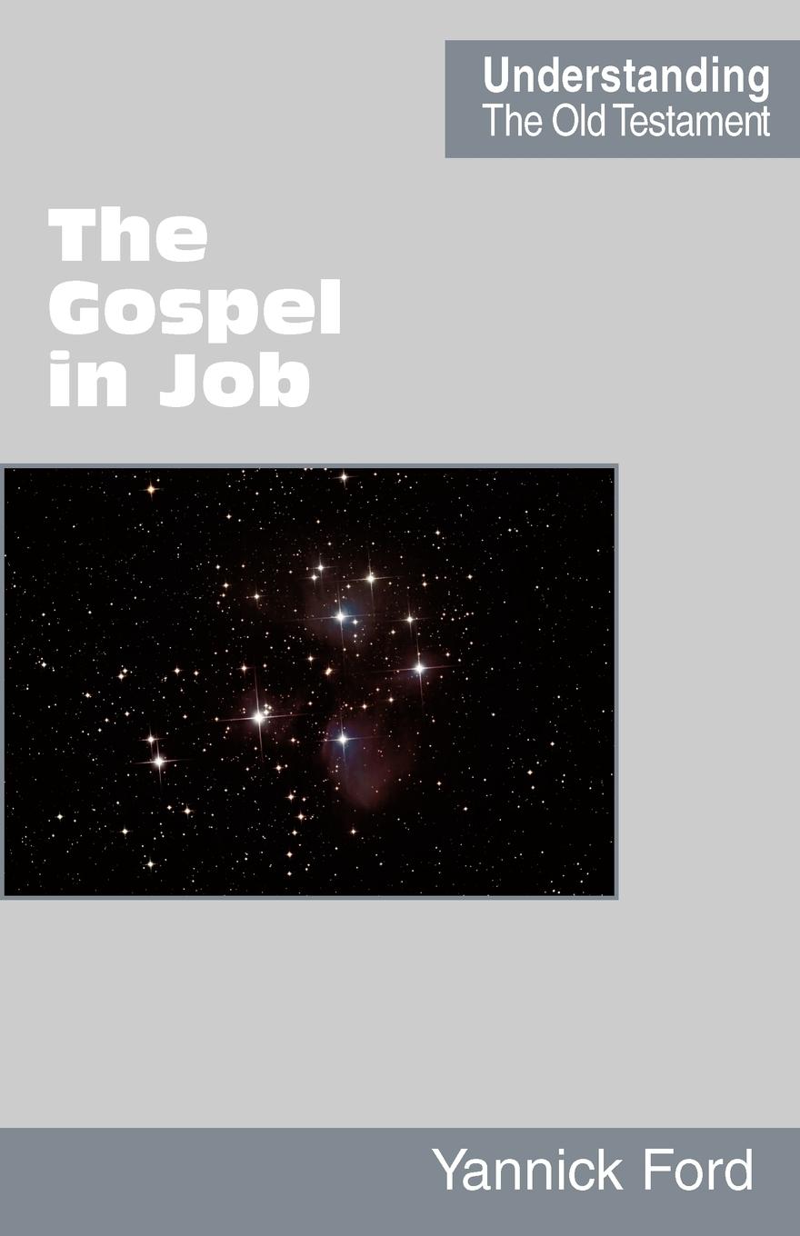 Vorderes Coverbild The Gospel in Job