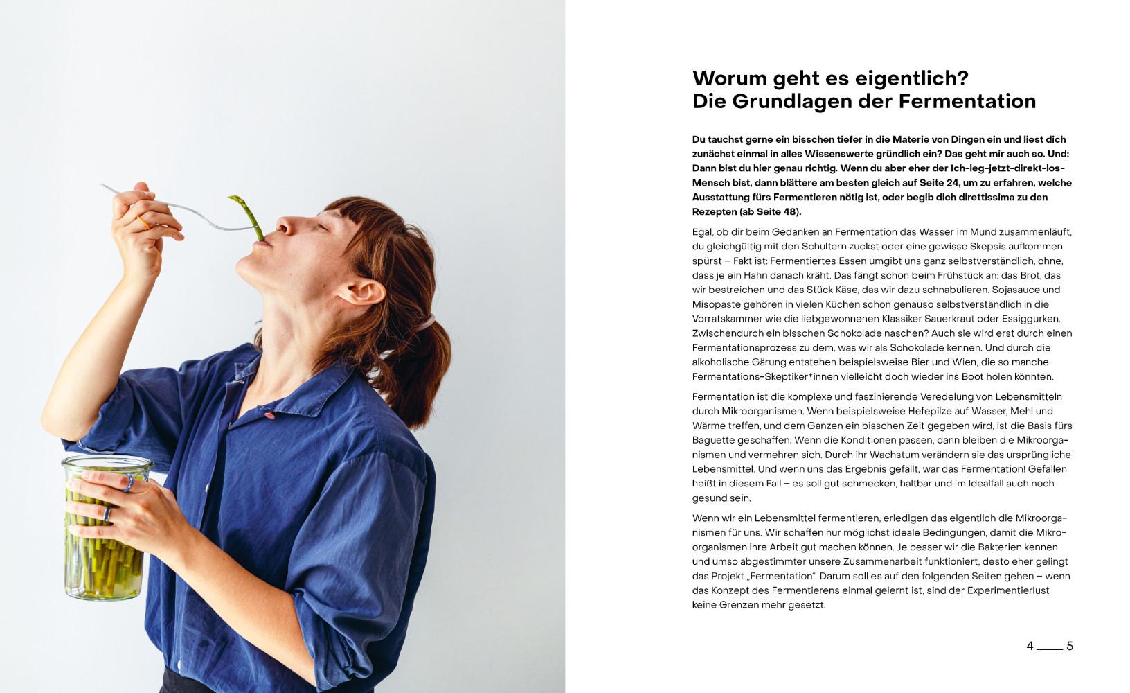 Beispielinhalt (Bild) fantastisch fermentiert