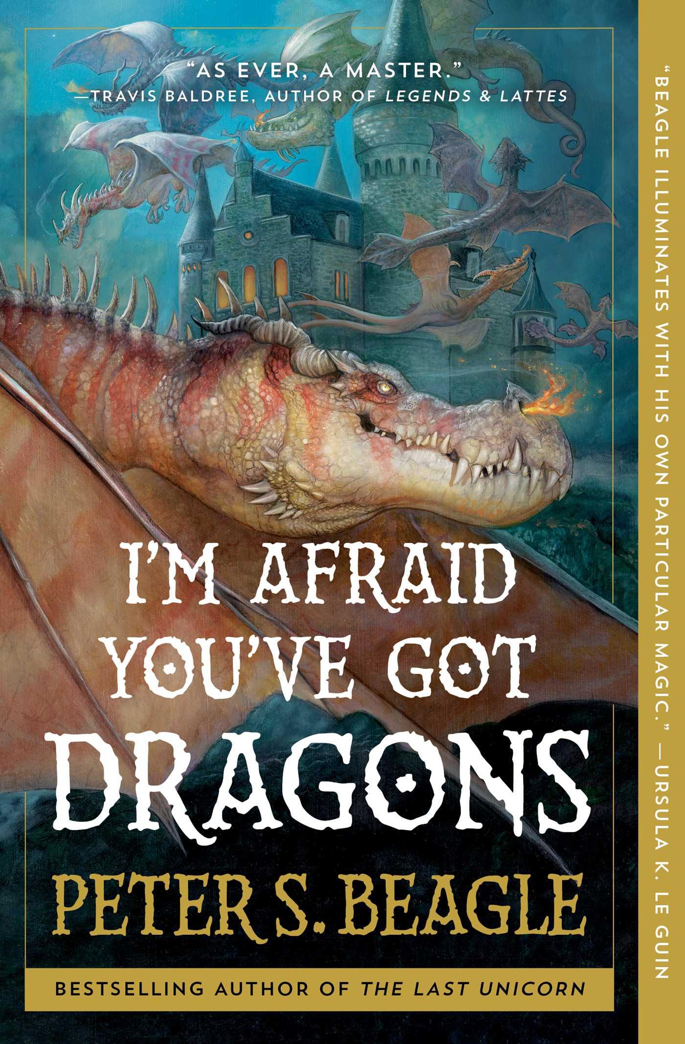 Vorderes Coverbild I'm Afraid You've Got Dragons