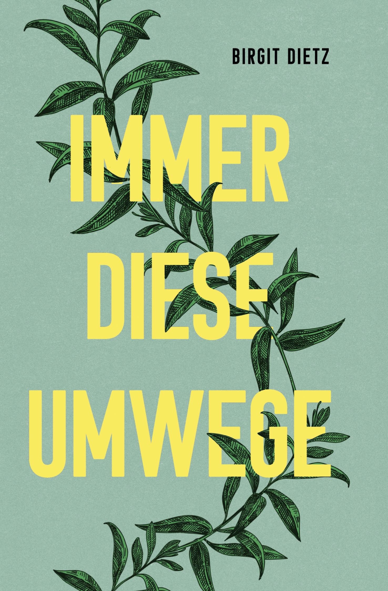 Vorderes Coverbild Immer diese Umwege