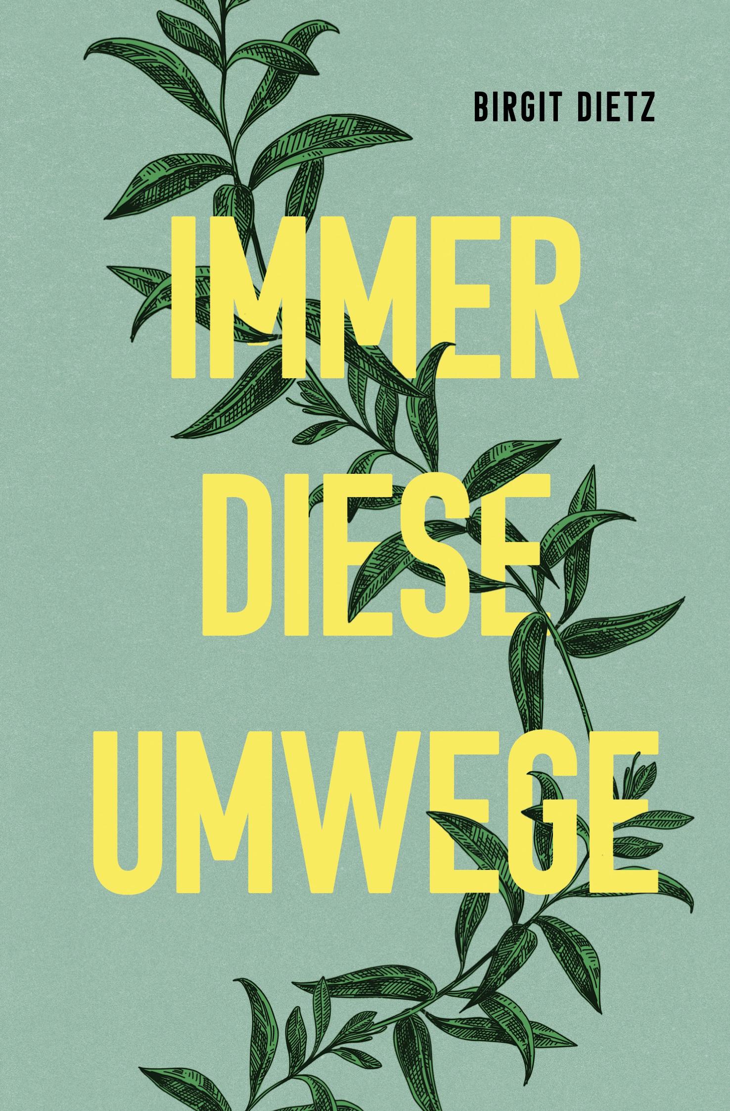 Vorderes Coverbild Immer diese Umwege