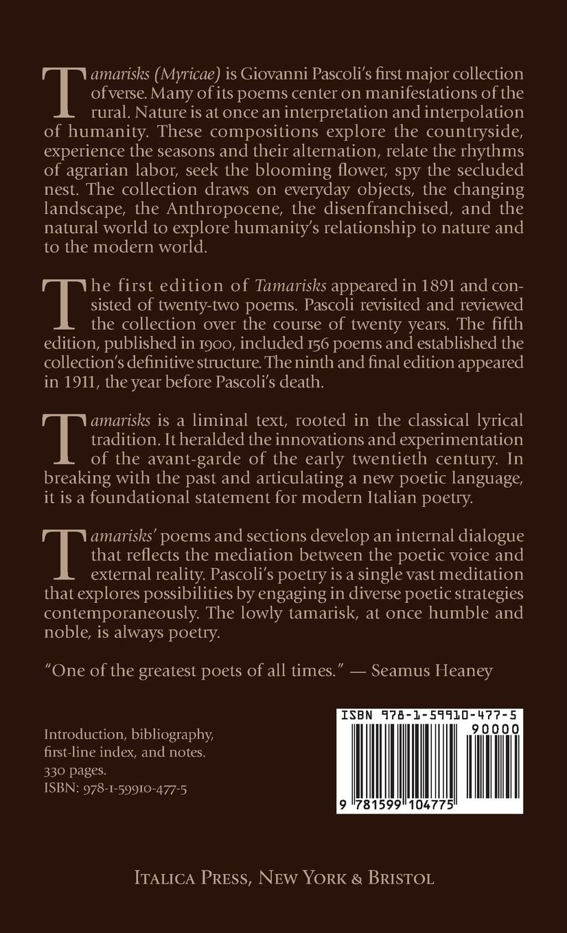 Rückseitencover Tamarisks