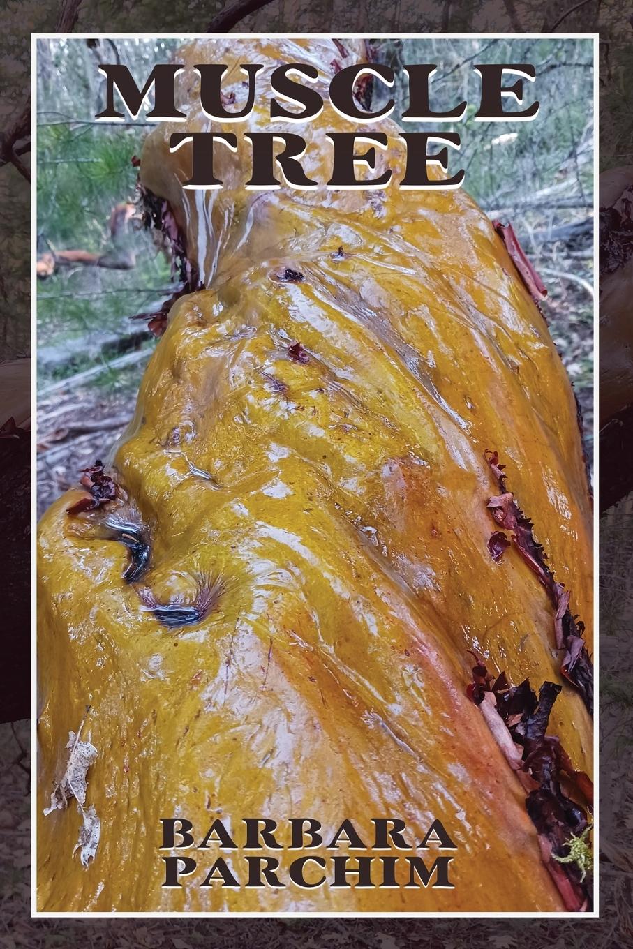 Vorderes Coverbild Muscle Tree