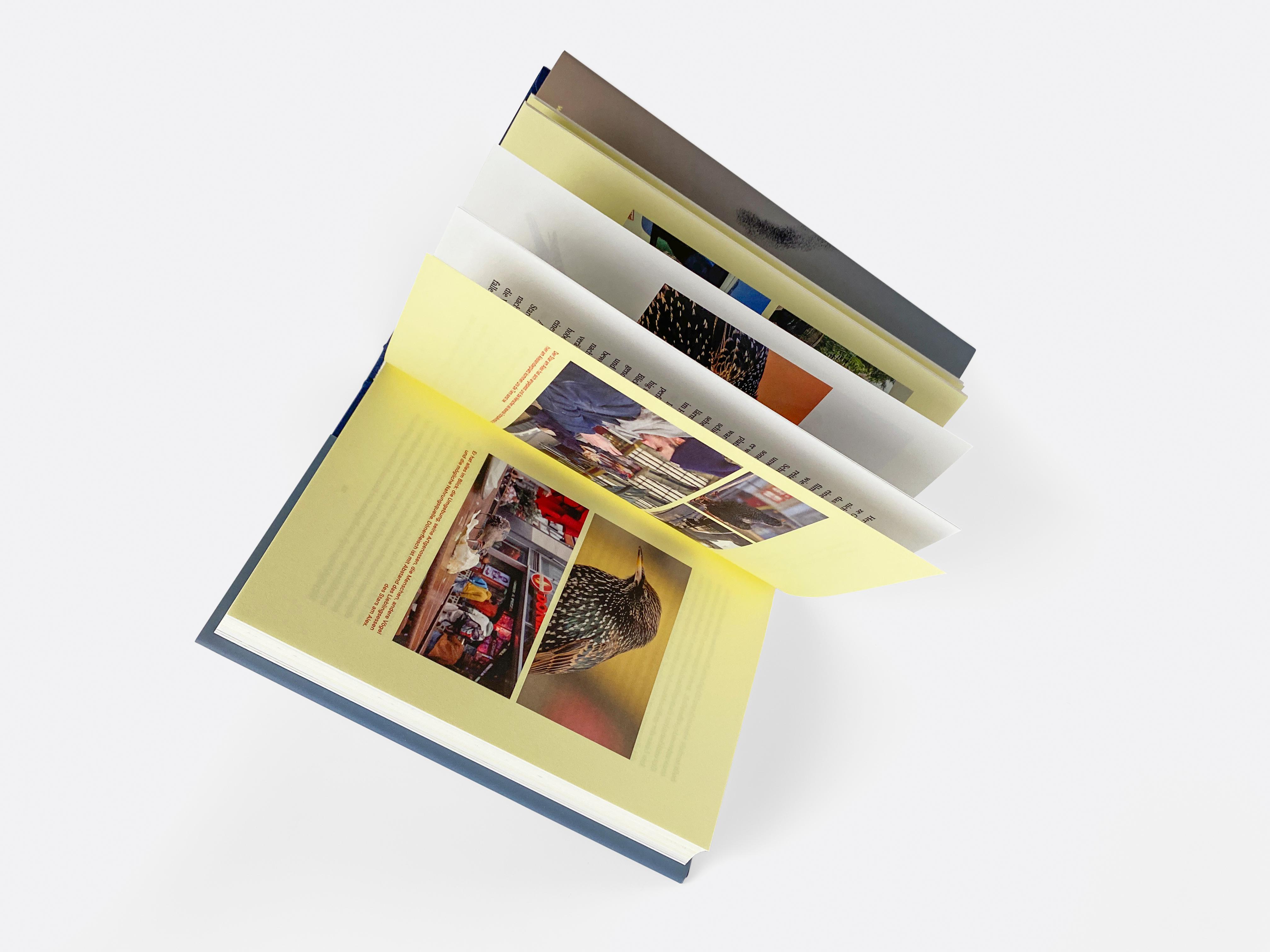 Beispielinhalt (Bild) Unter Staren