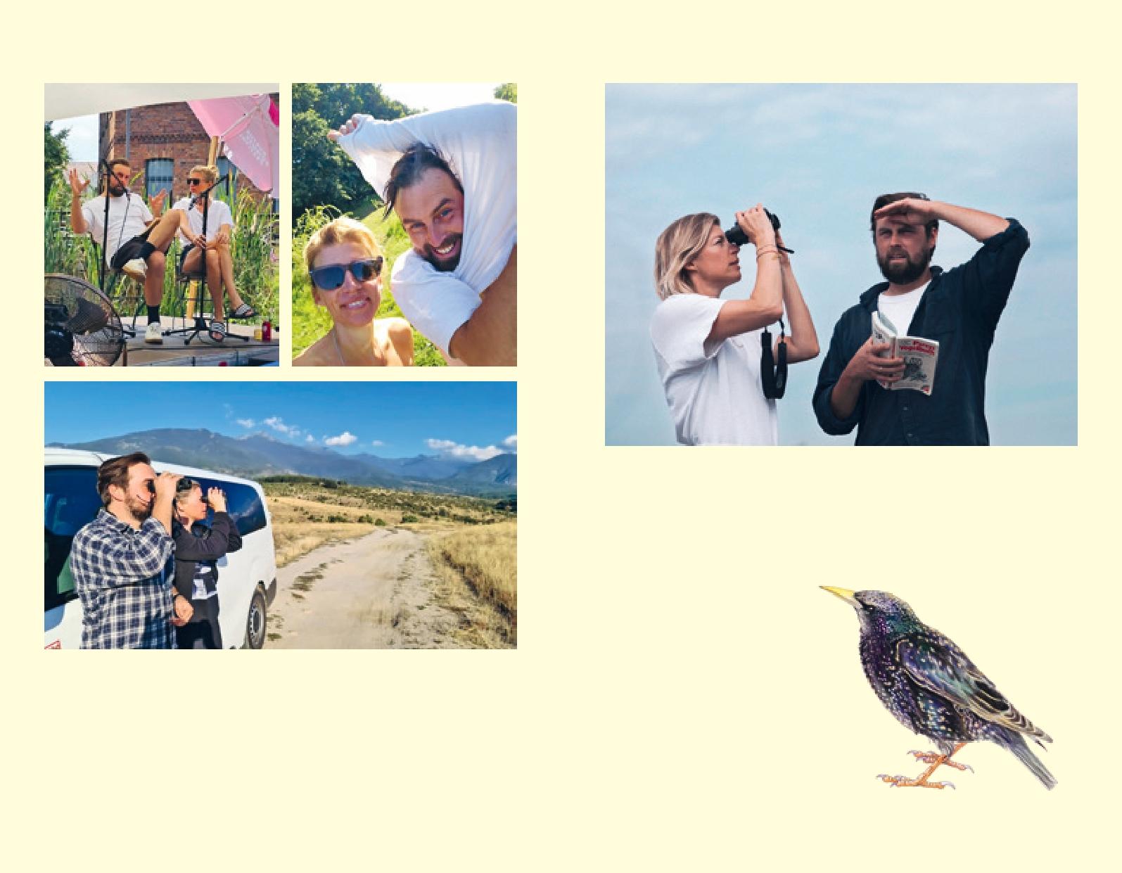 Beispielinhalt (Bild) Unter Staren