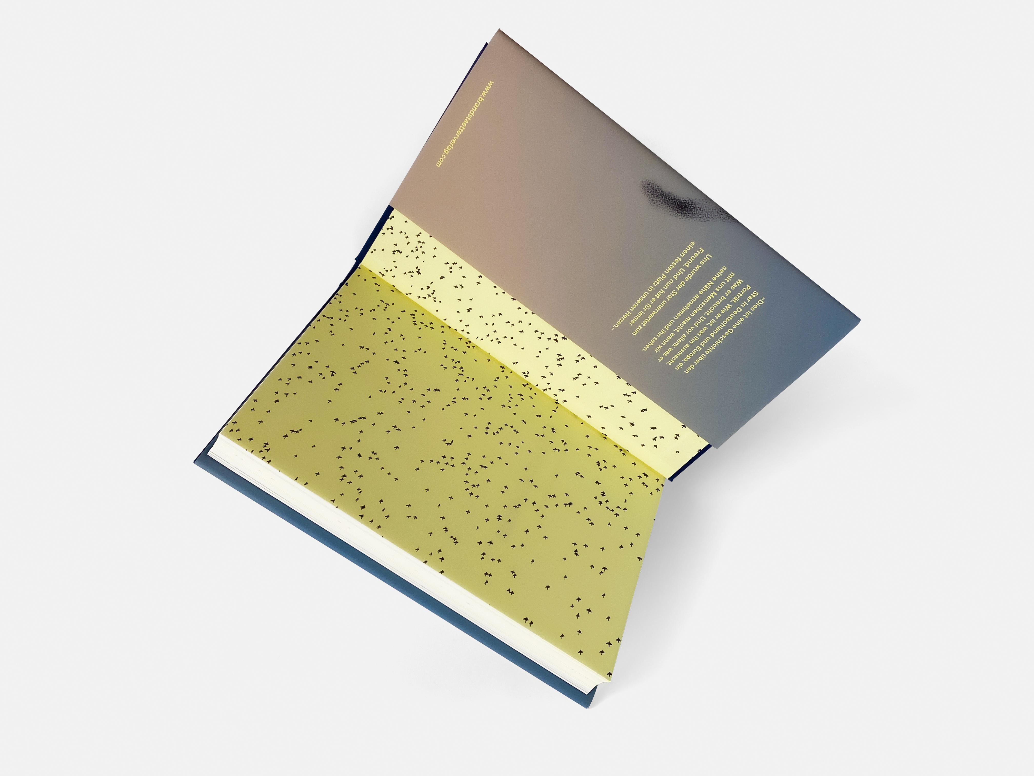 Beispielinhalt (Bild) Unter Staren