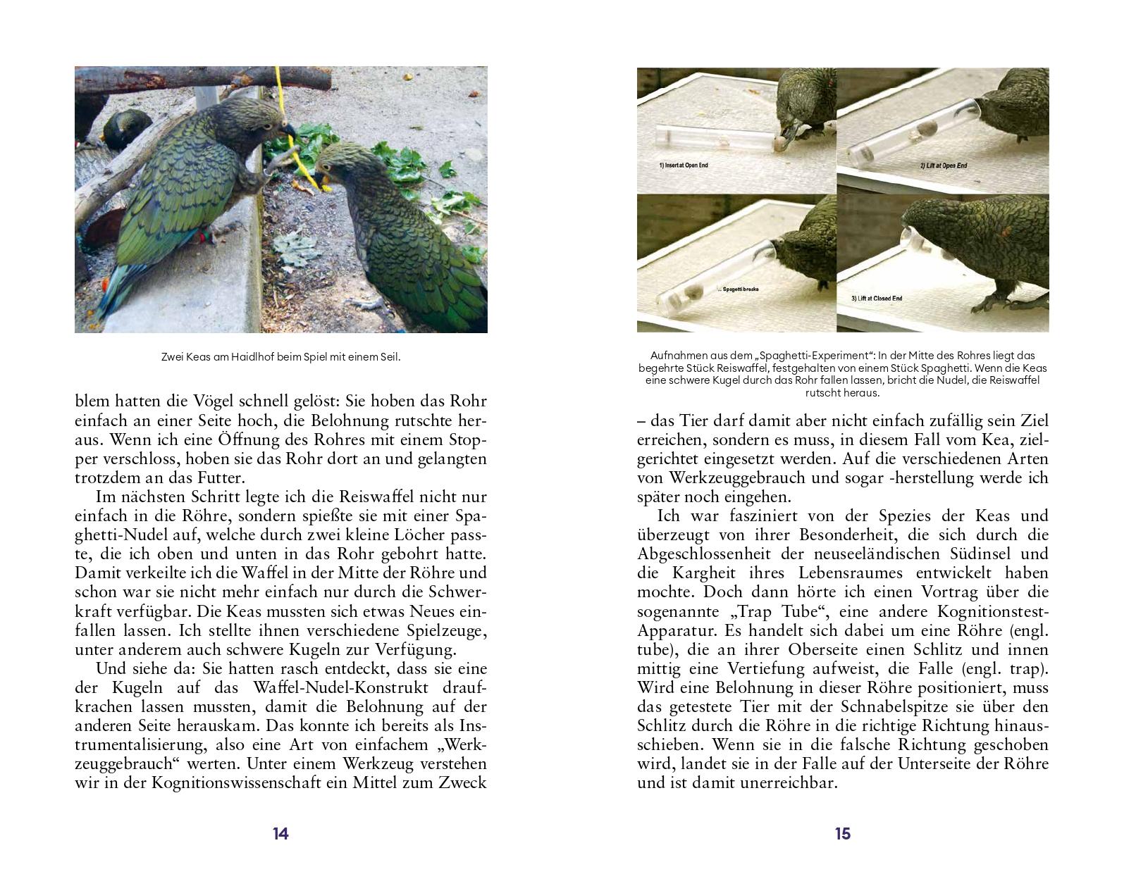 Beispielinhalt (Bild) Der Erfindergeist der Tiere