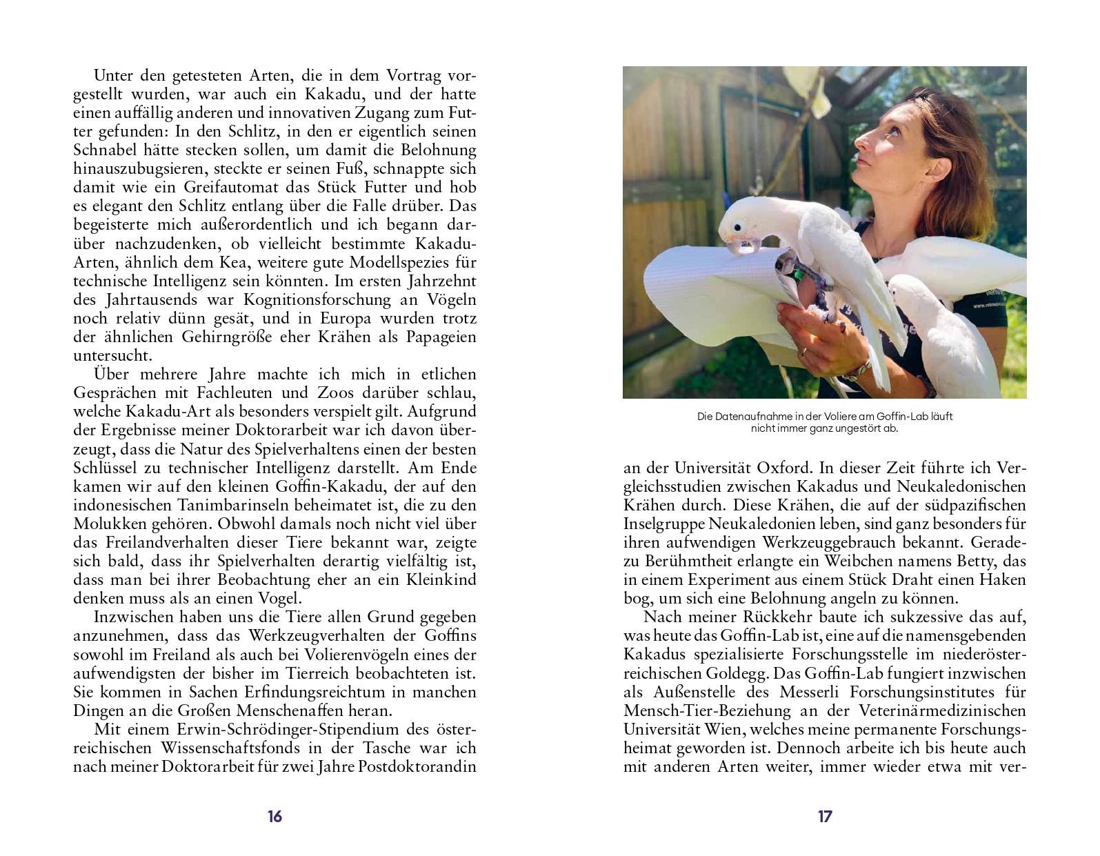 Beispielinhalt (Bild) Der Erfindergeist der Tiere