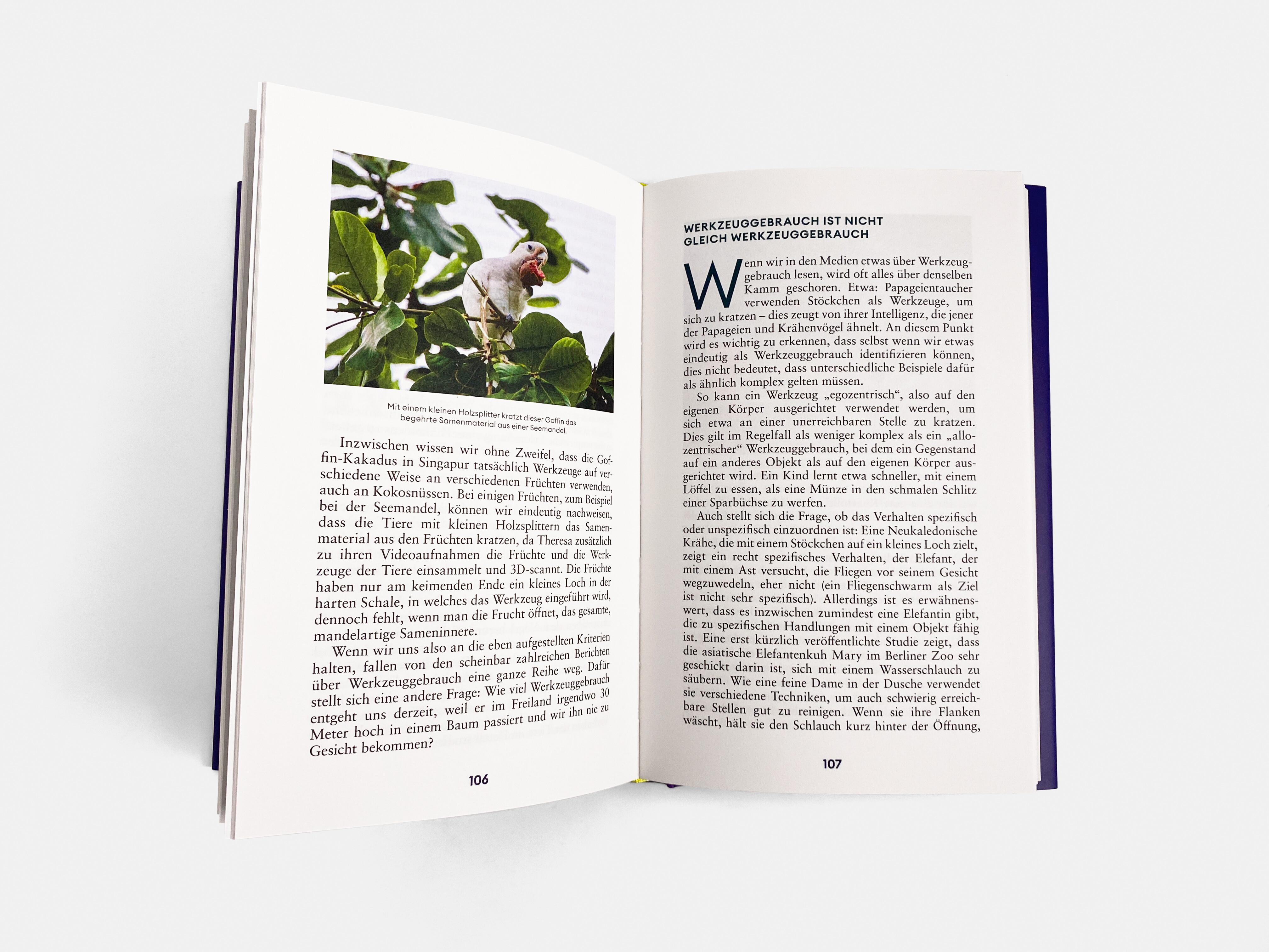 Beispielinhalt (Bild) Der Erfindergeist der Tiere