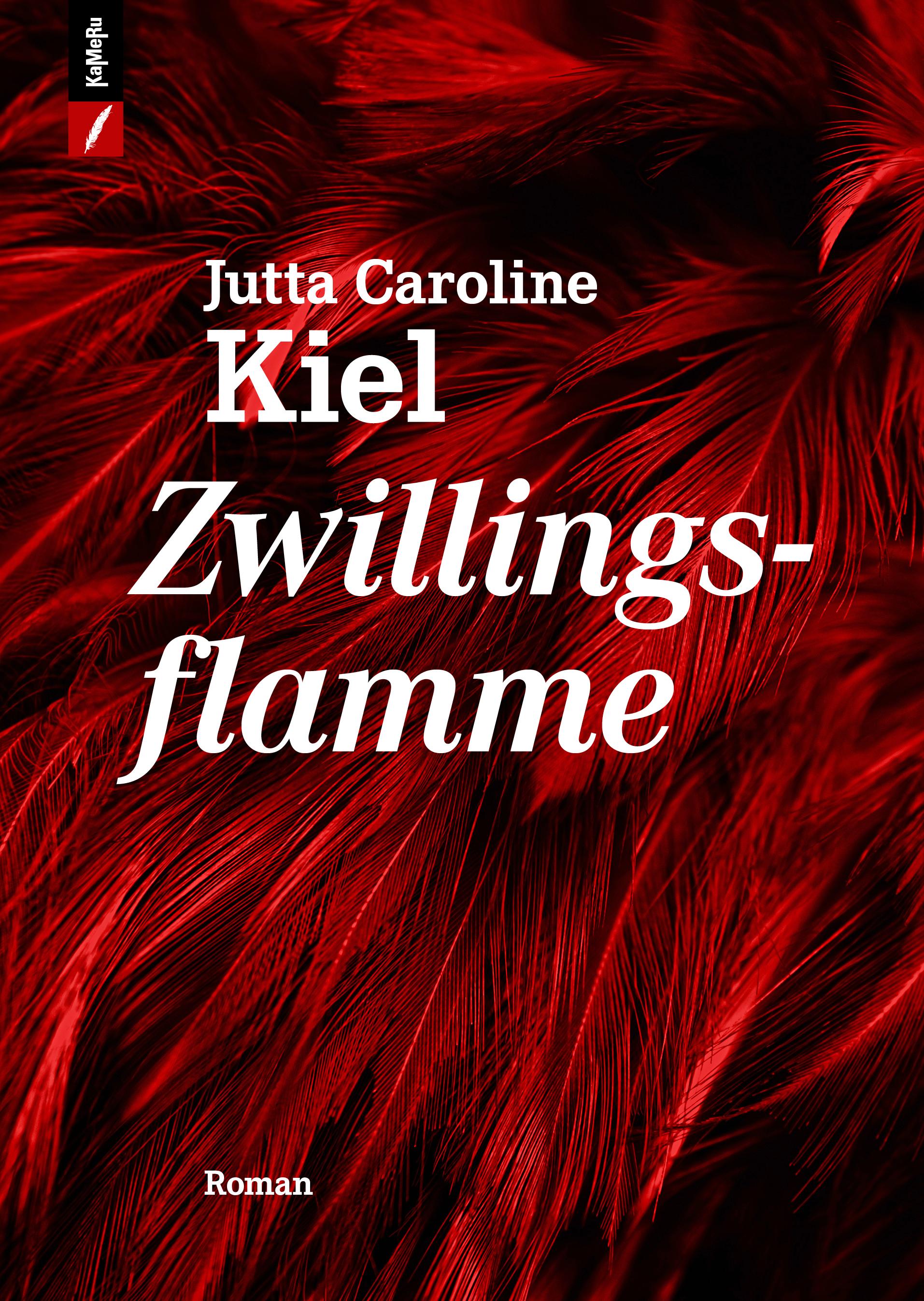 Vorderes Coverbild Zwillingsflamme