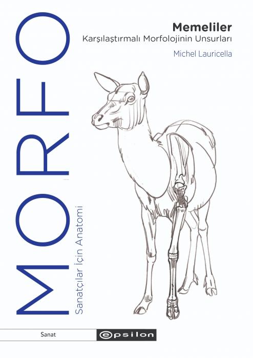Vorderes Coverbild Morfo