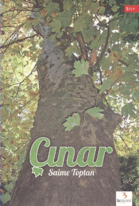 Vorderes Coverbild Cinar