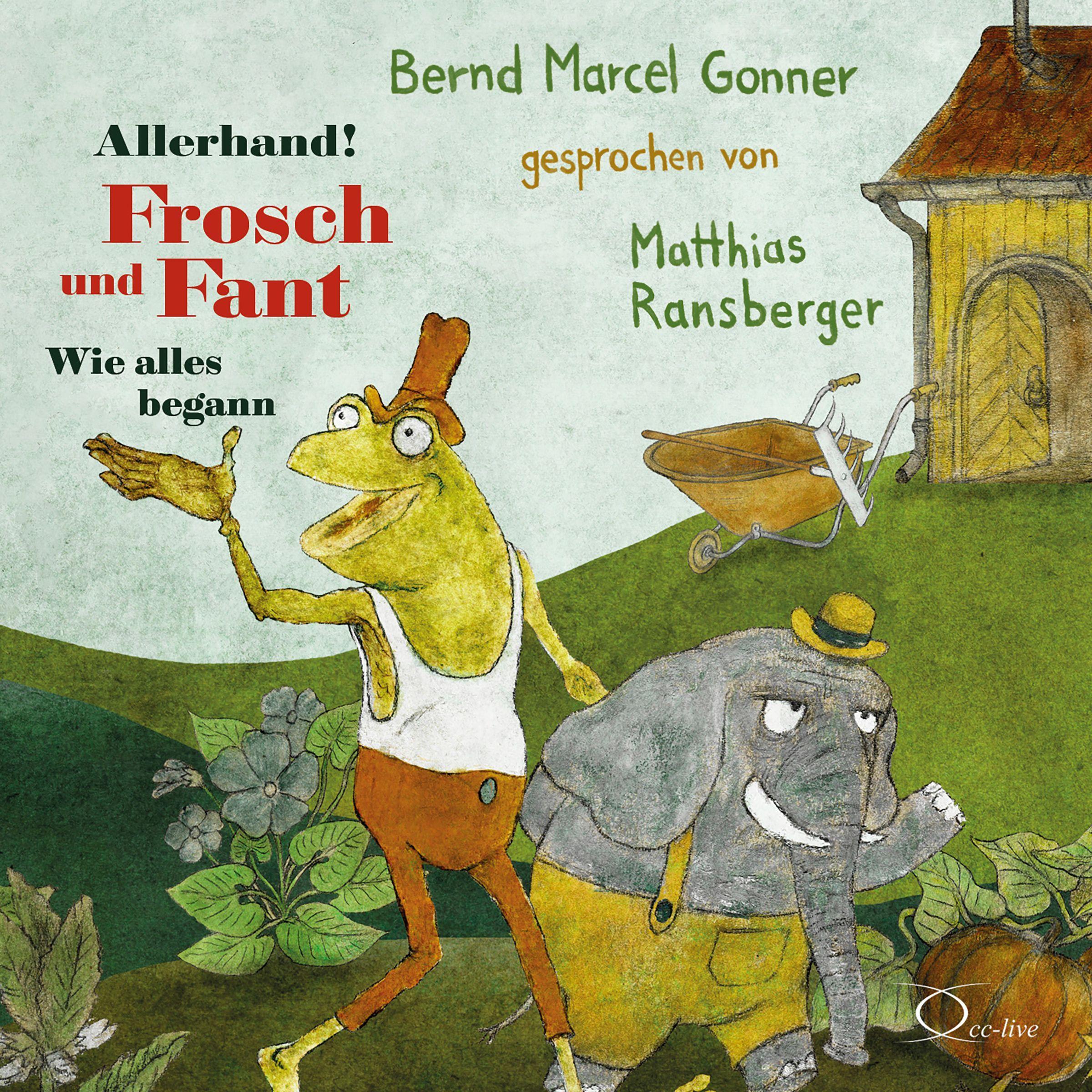 Vorderes Coverbild Allerhand! Frosch und Fant