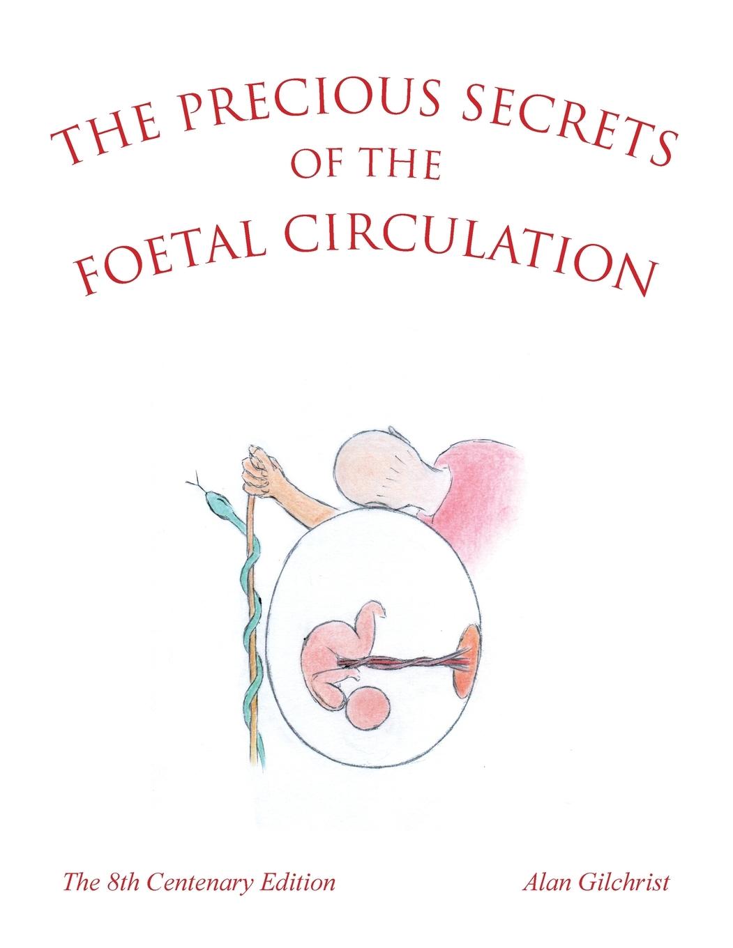 Vorderes Coverbild The Precious Secrets of the Foetal Circulation