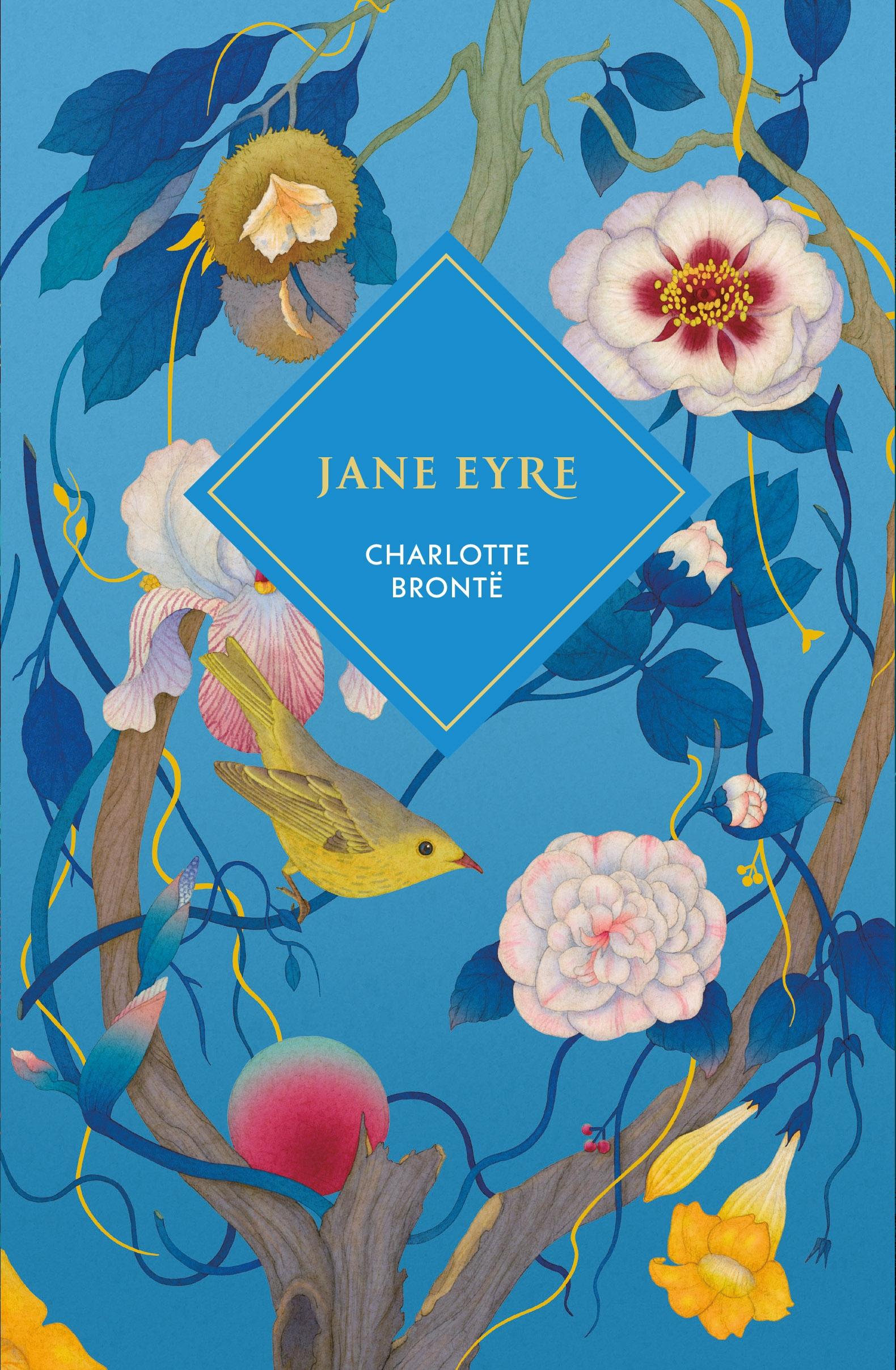 Vorderes Coverbild Jane Eyre