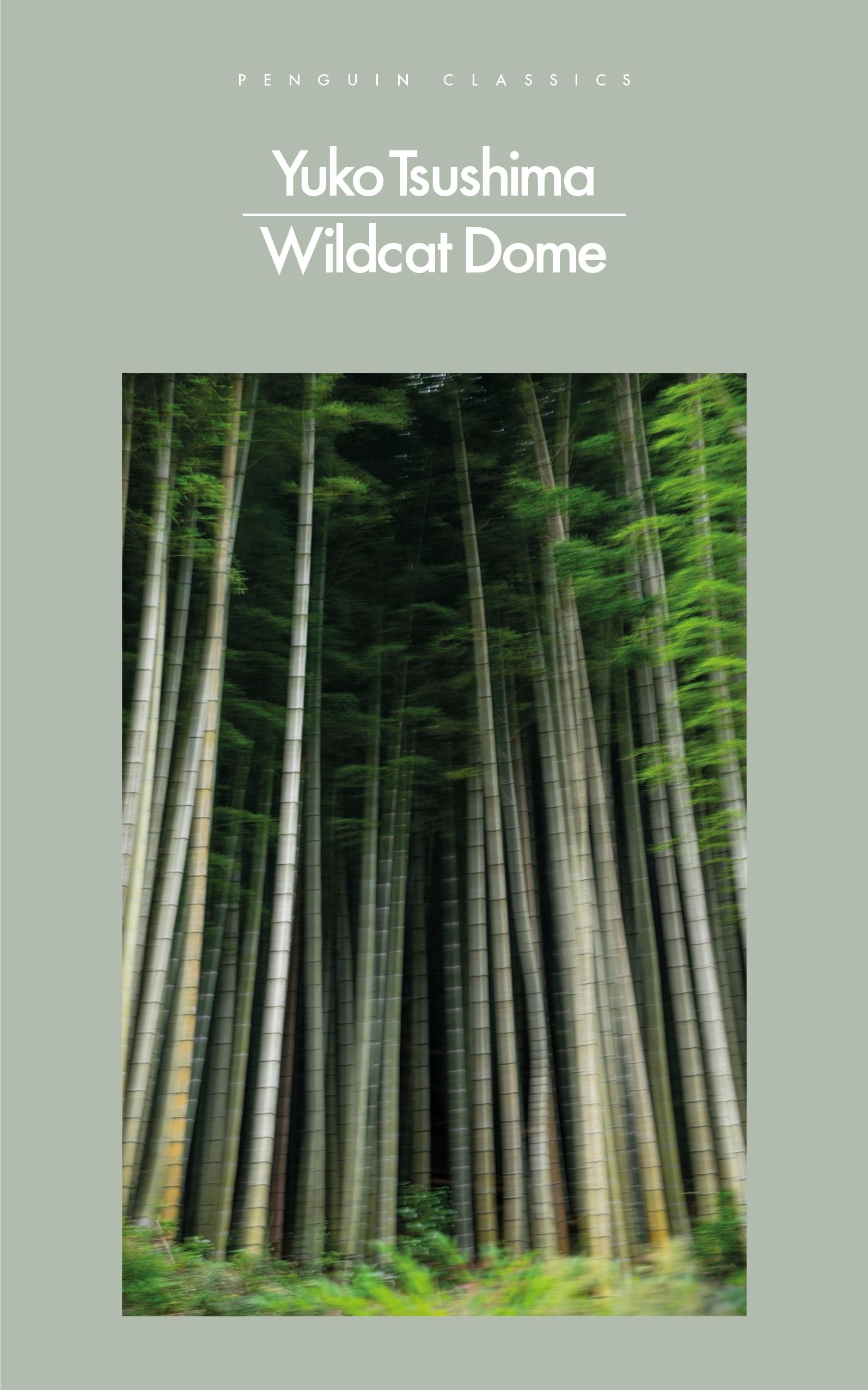 Vorderes Coverbild Wildcat Dome