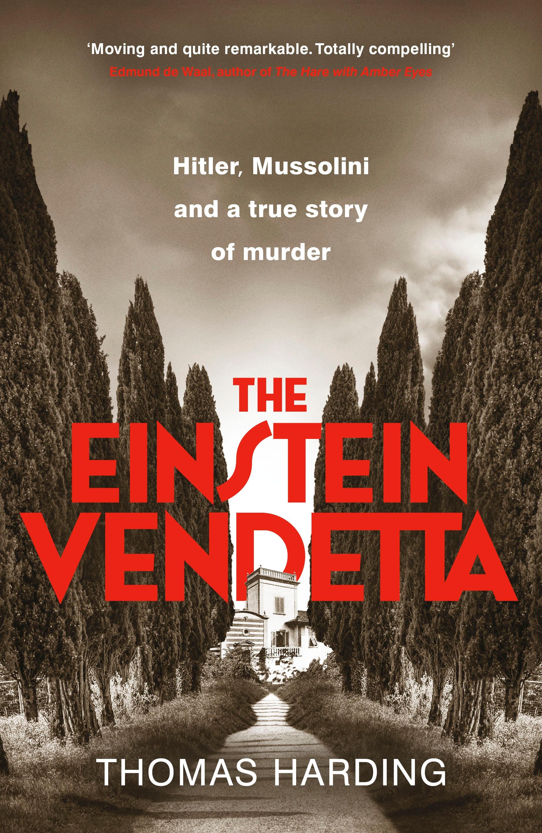 Vorderes Coverbild The Einstein Vendetta