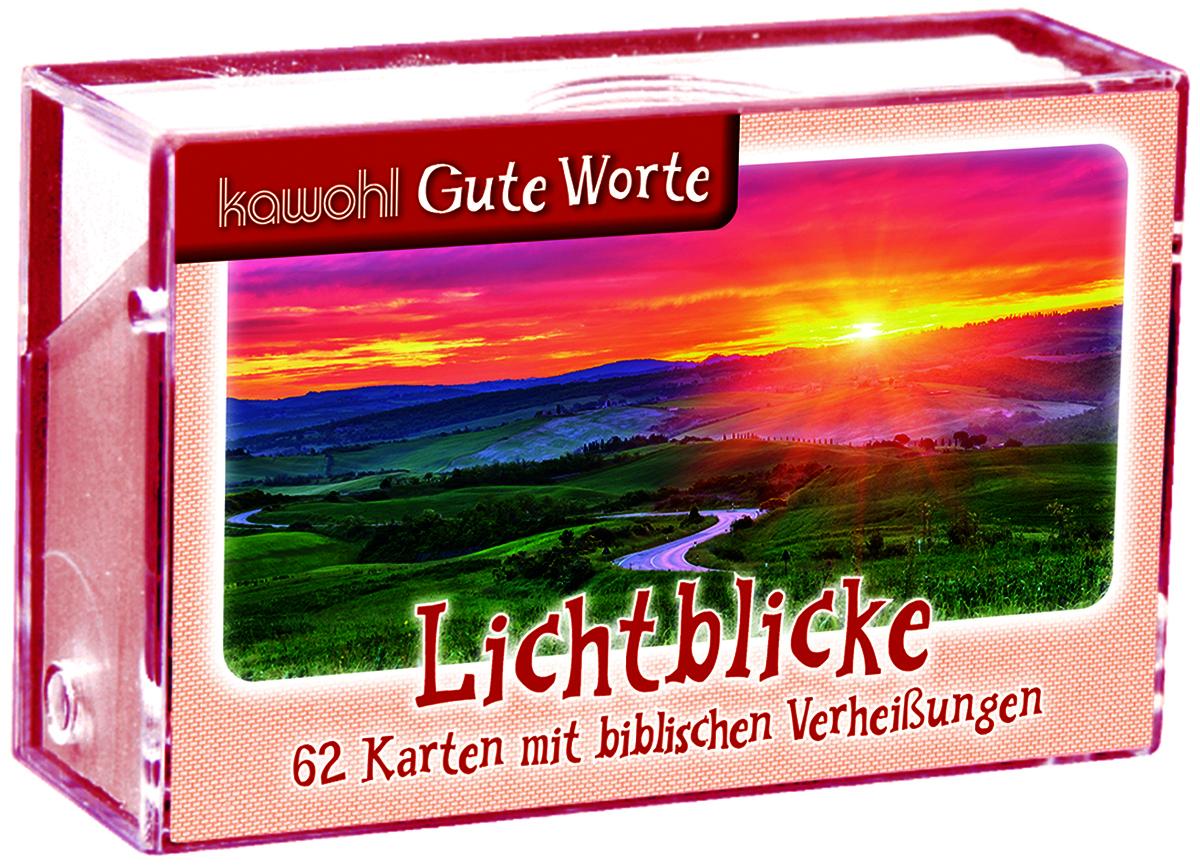 Vorderes Coverbild Lichtblicke