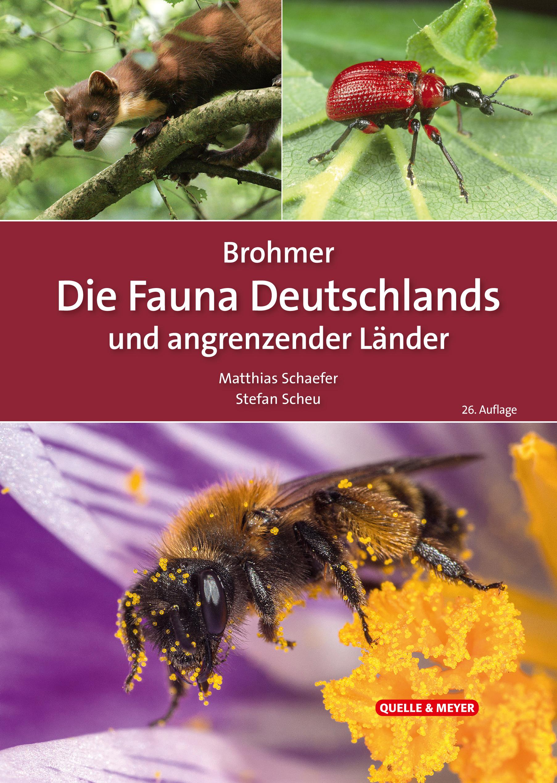 Vorderes Coverbild Brohmer - Die Fauna Deutschlands und angrenzender Länder