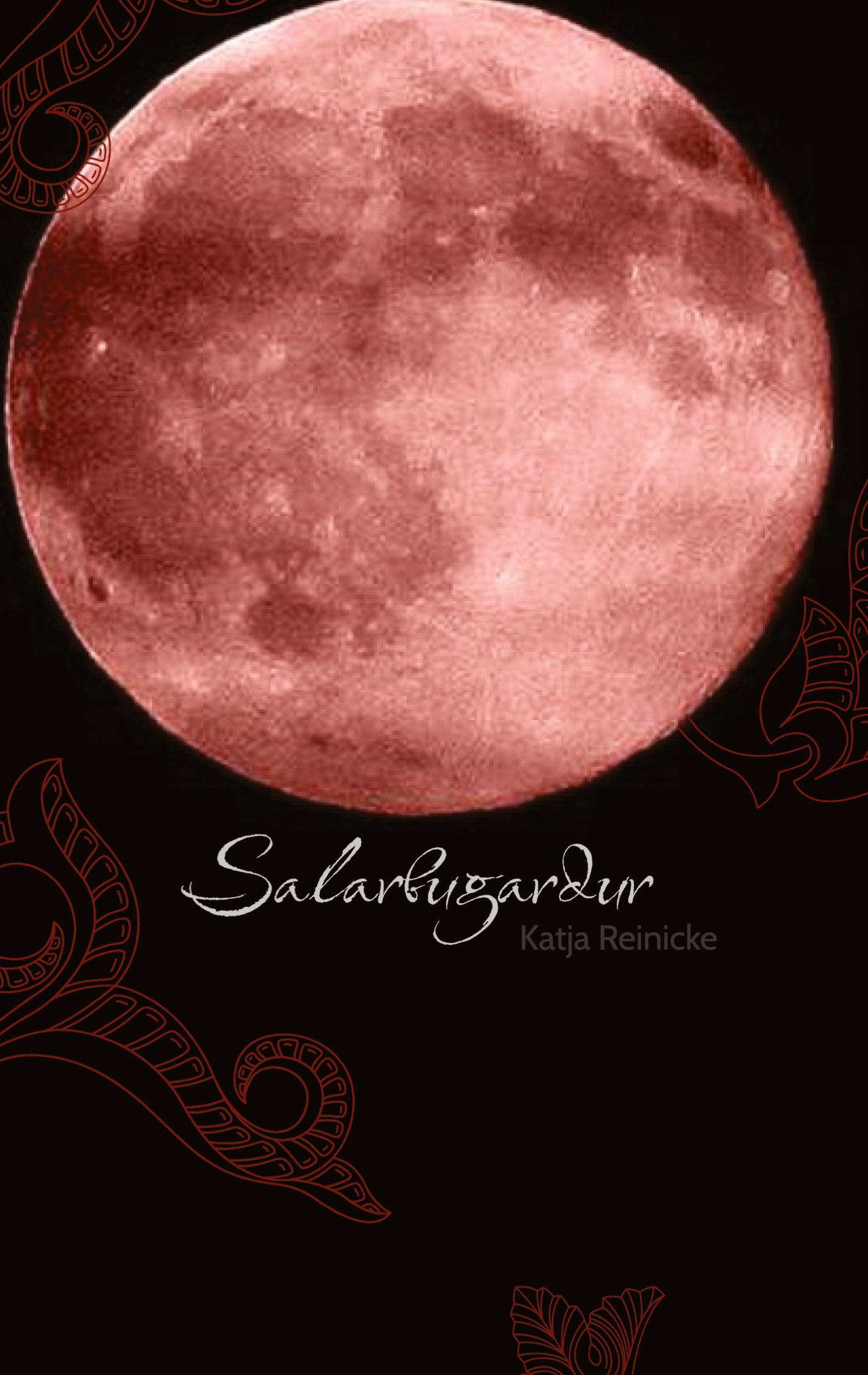 Vorderes Coverbild Salarbugardur