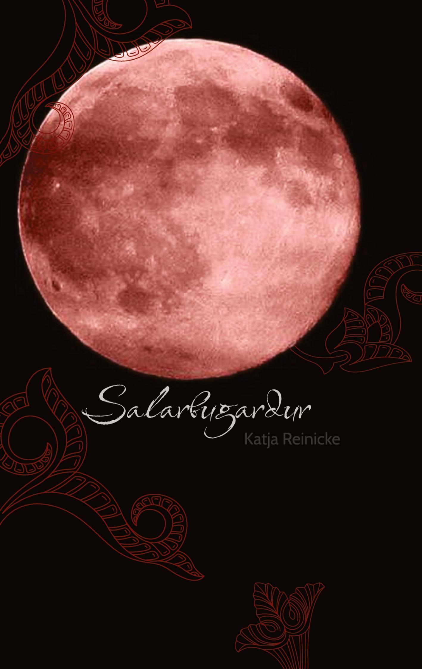 Vorderes Coverbild Salarbugardur