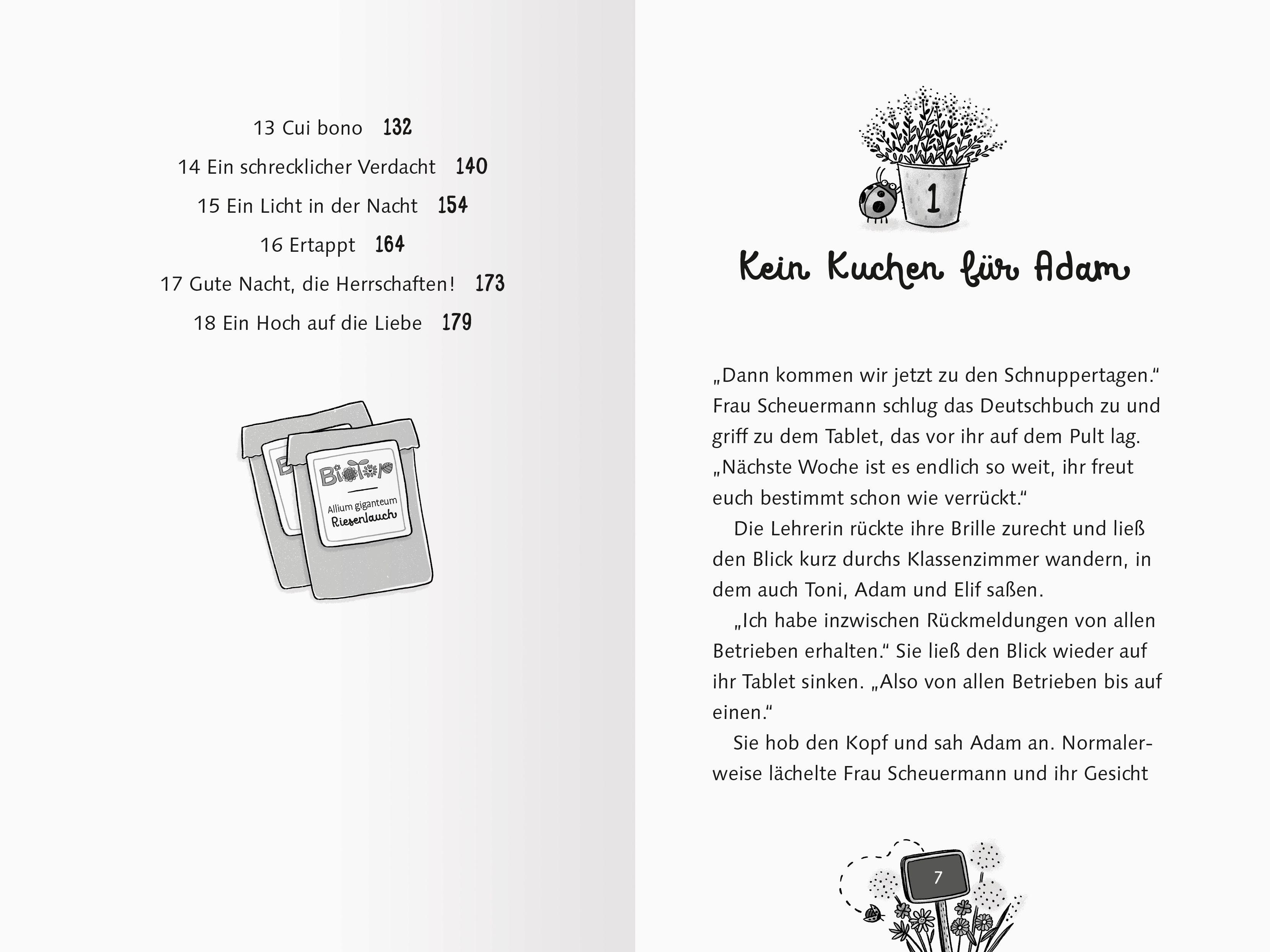 Beispielinhalt (Bild) Die Stadtgärtnerin, Band 3 - Blumenglück hoch vier!