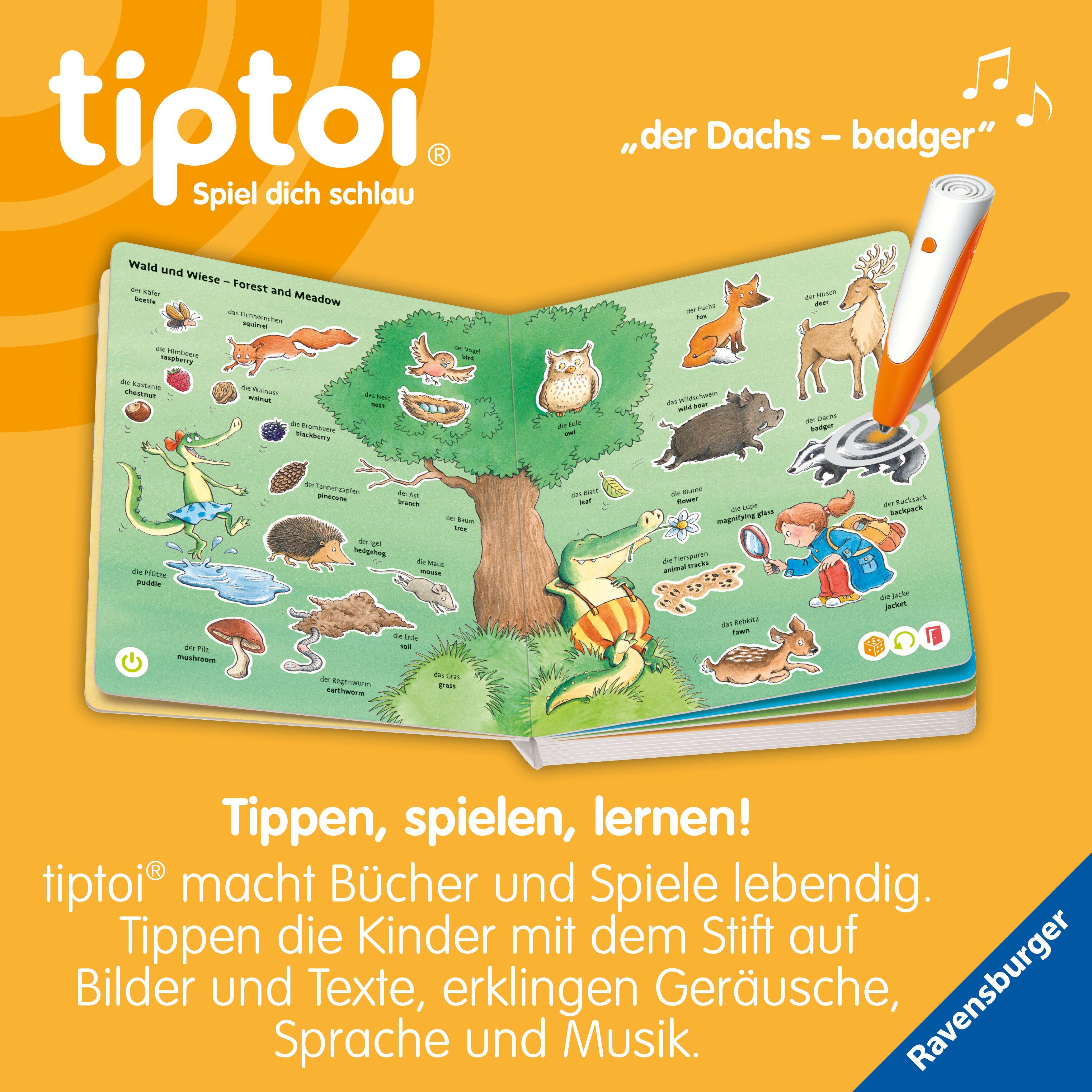 Beispielinhalt (Bild) tiptoi® - Mein erstes Bild-Wörterbuch Deutsch-Englisch