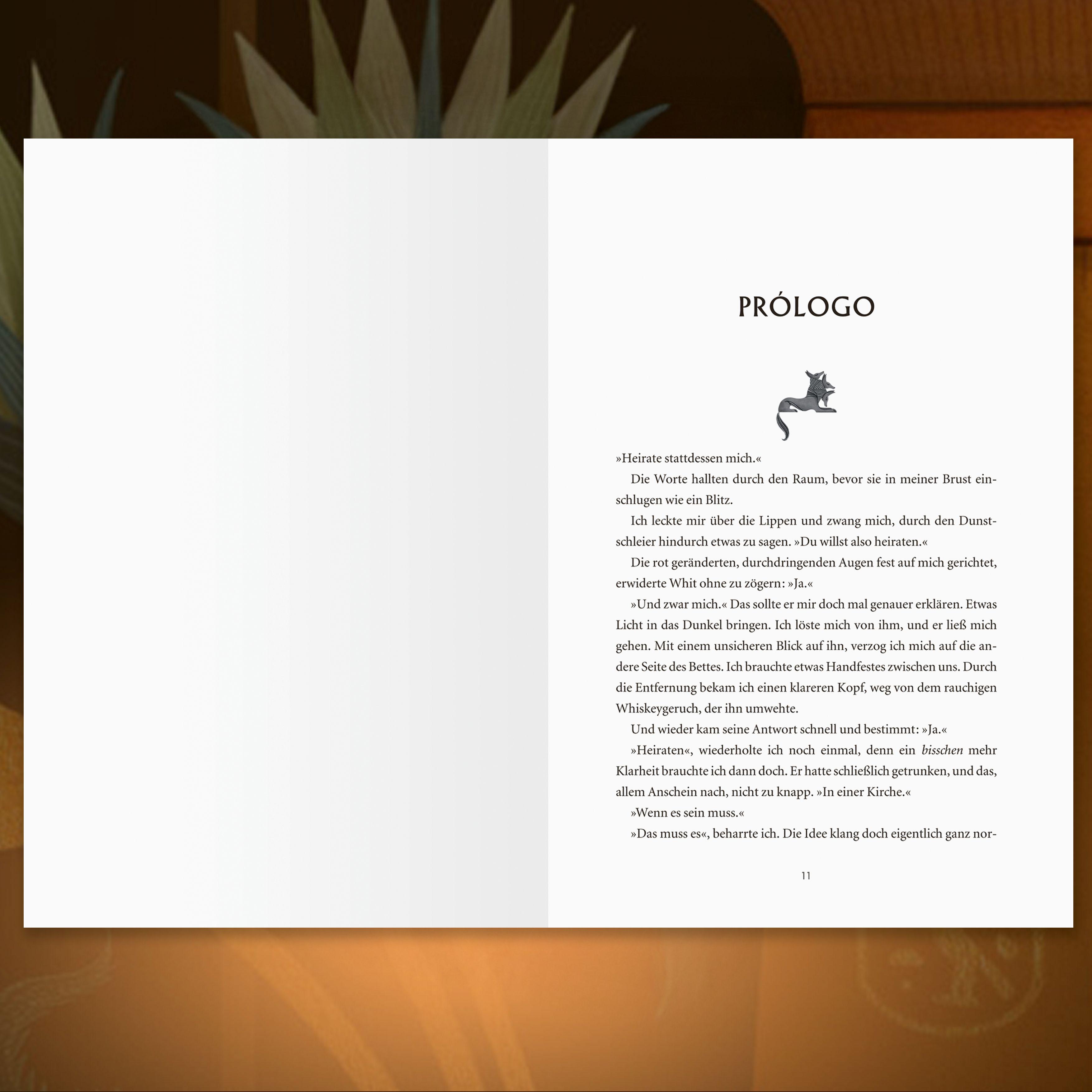 Beispielinhalt (Bild) Geheimnisse des Nil, Band 2 - Where the Library Hides