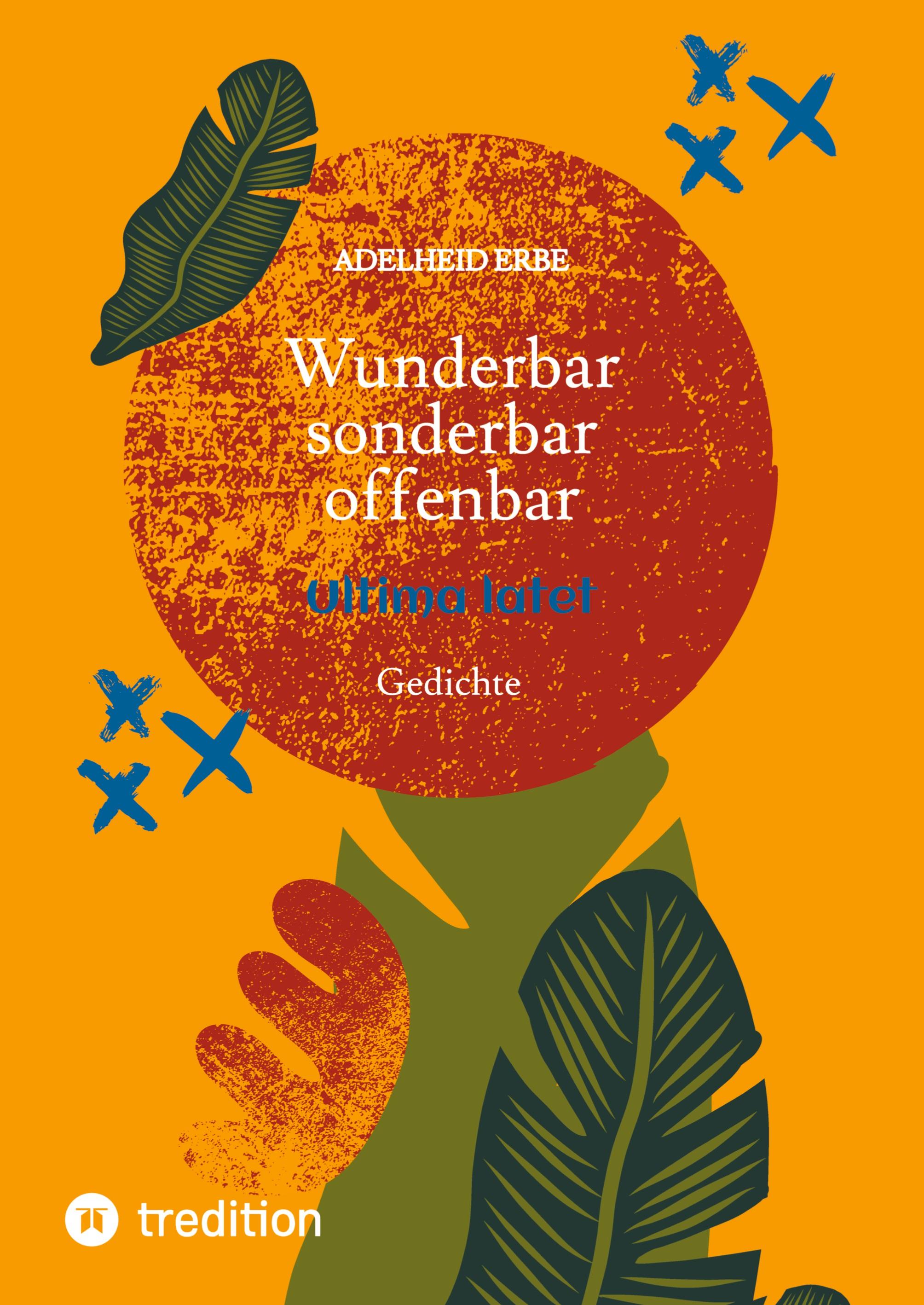 Vorderes Coverbild Wunderbar - sonderbar - offenbar