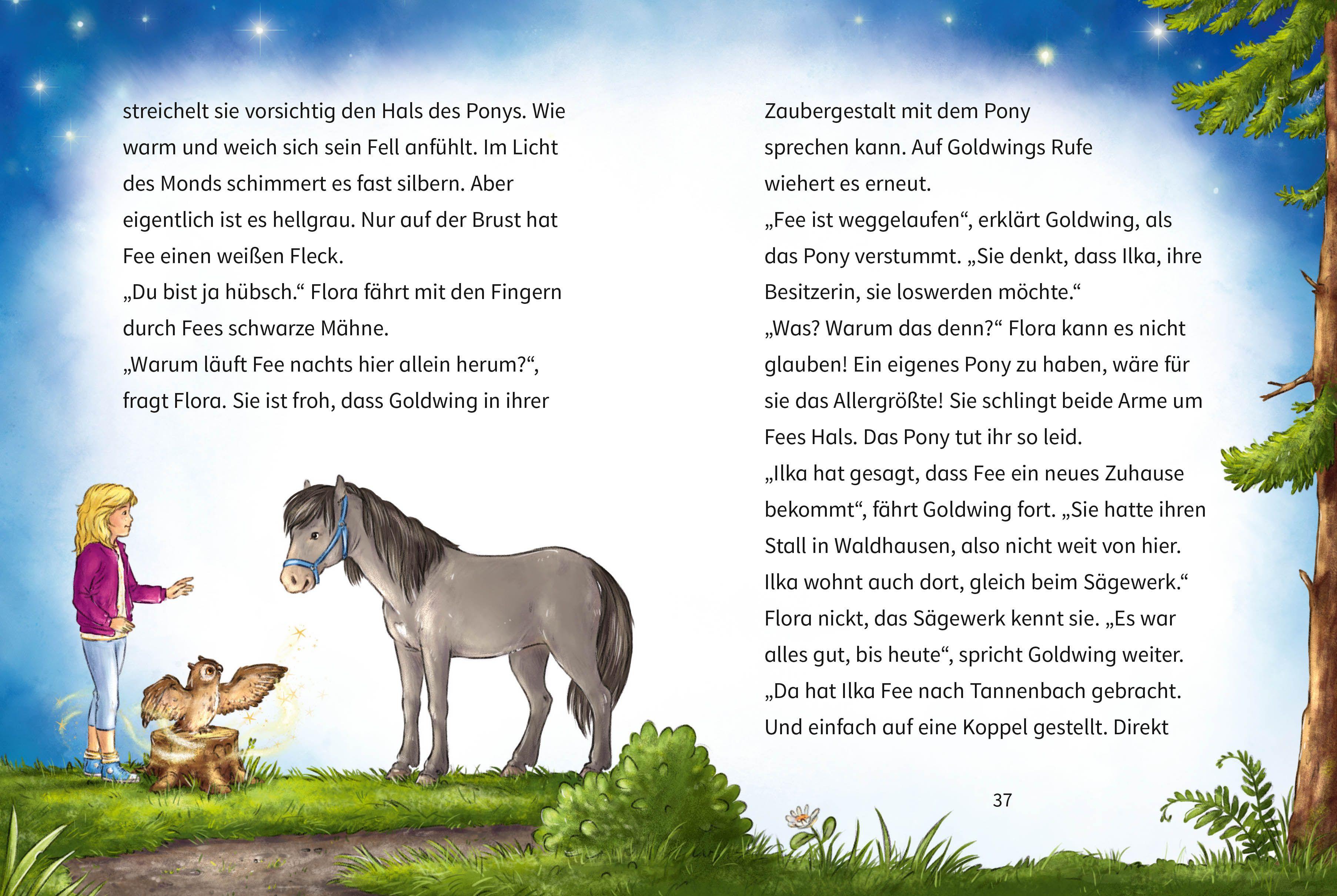 Beispielinhalt (Bild) Eulenzauber Junior (1). Goldwing und das Mondscheinpony