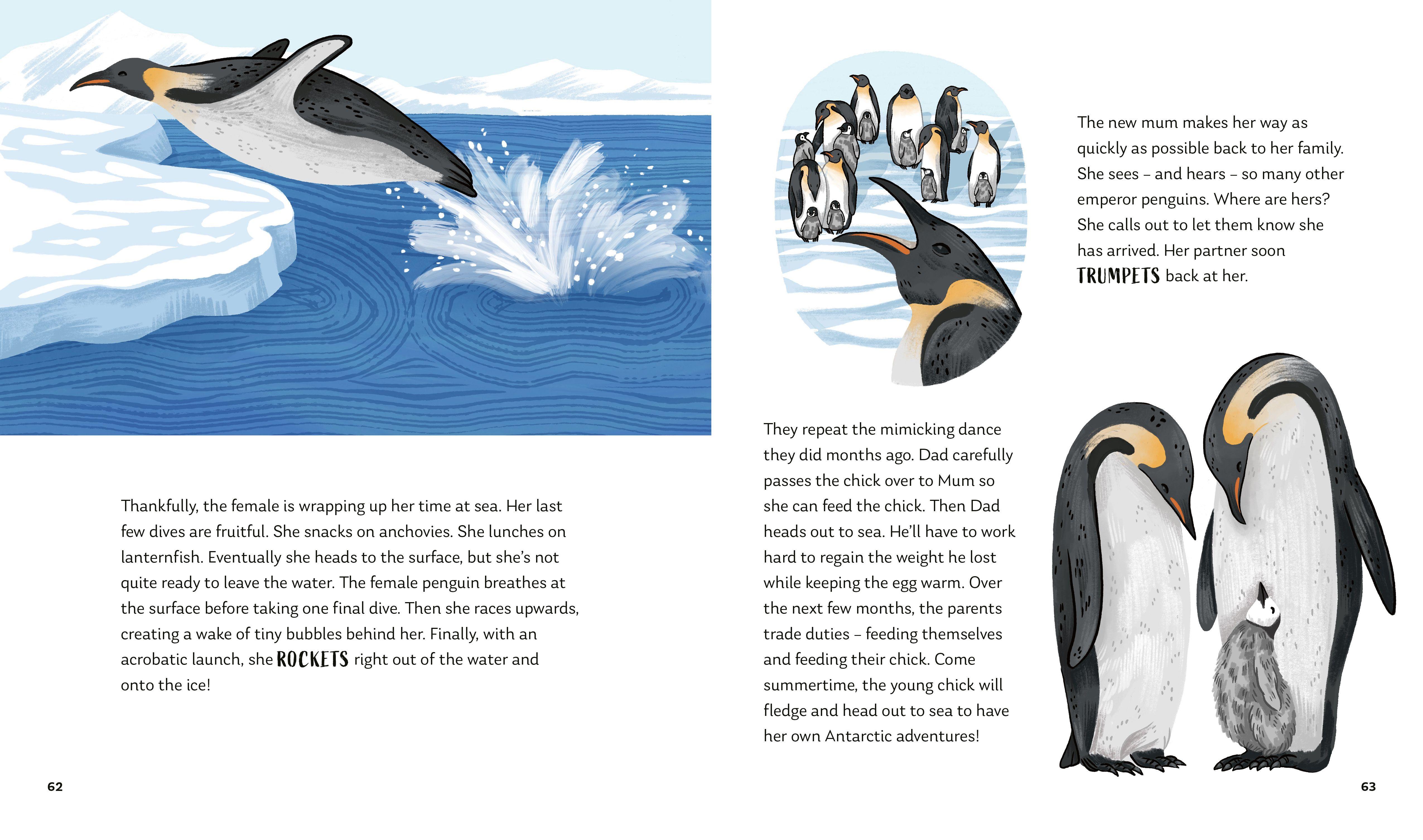 Beispielinhalt (Bild) Secrets of the Ocean