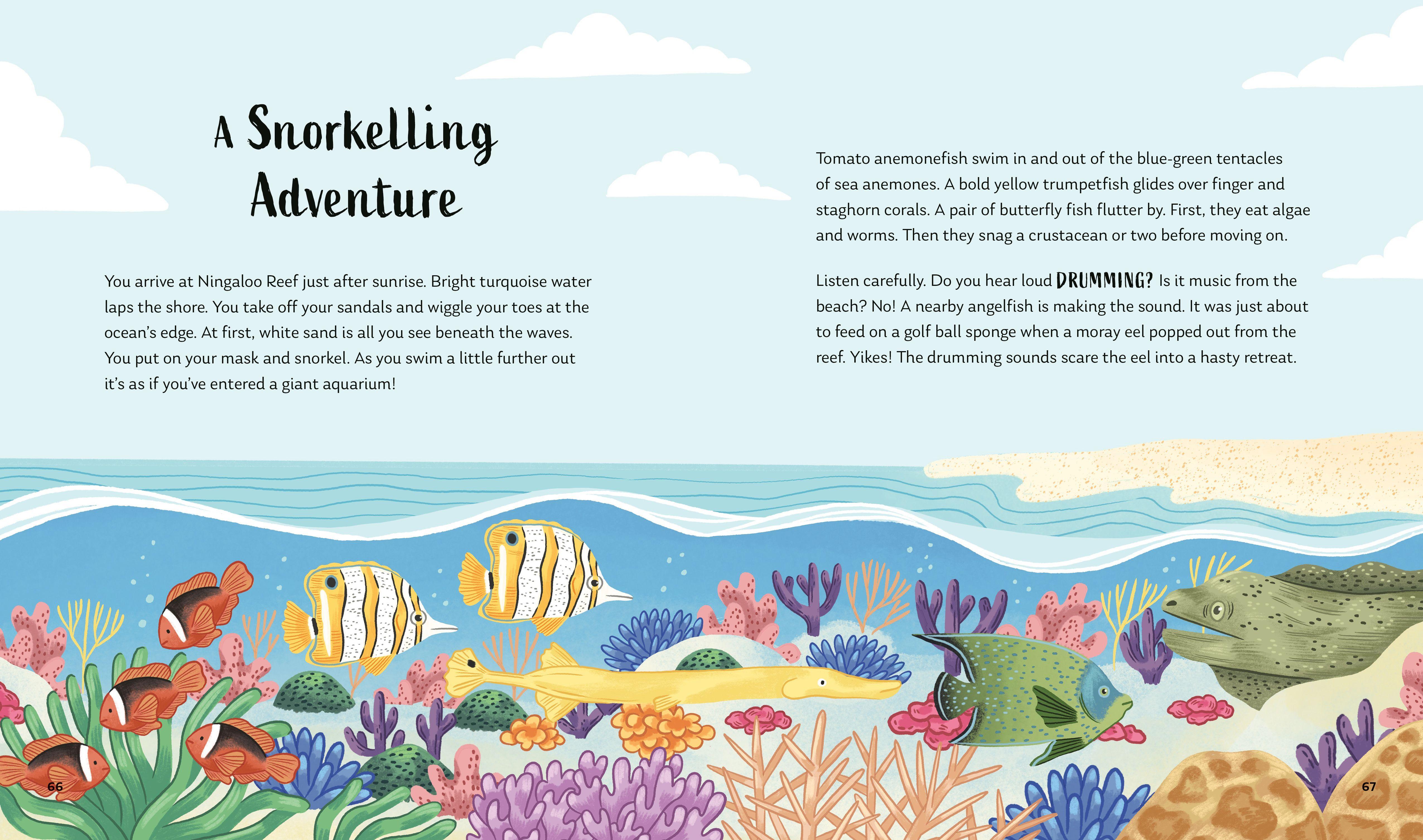 Beispielinhalt (Bild) Secrets of the Ocean