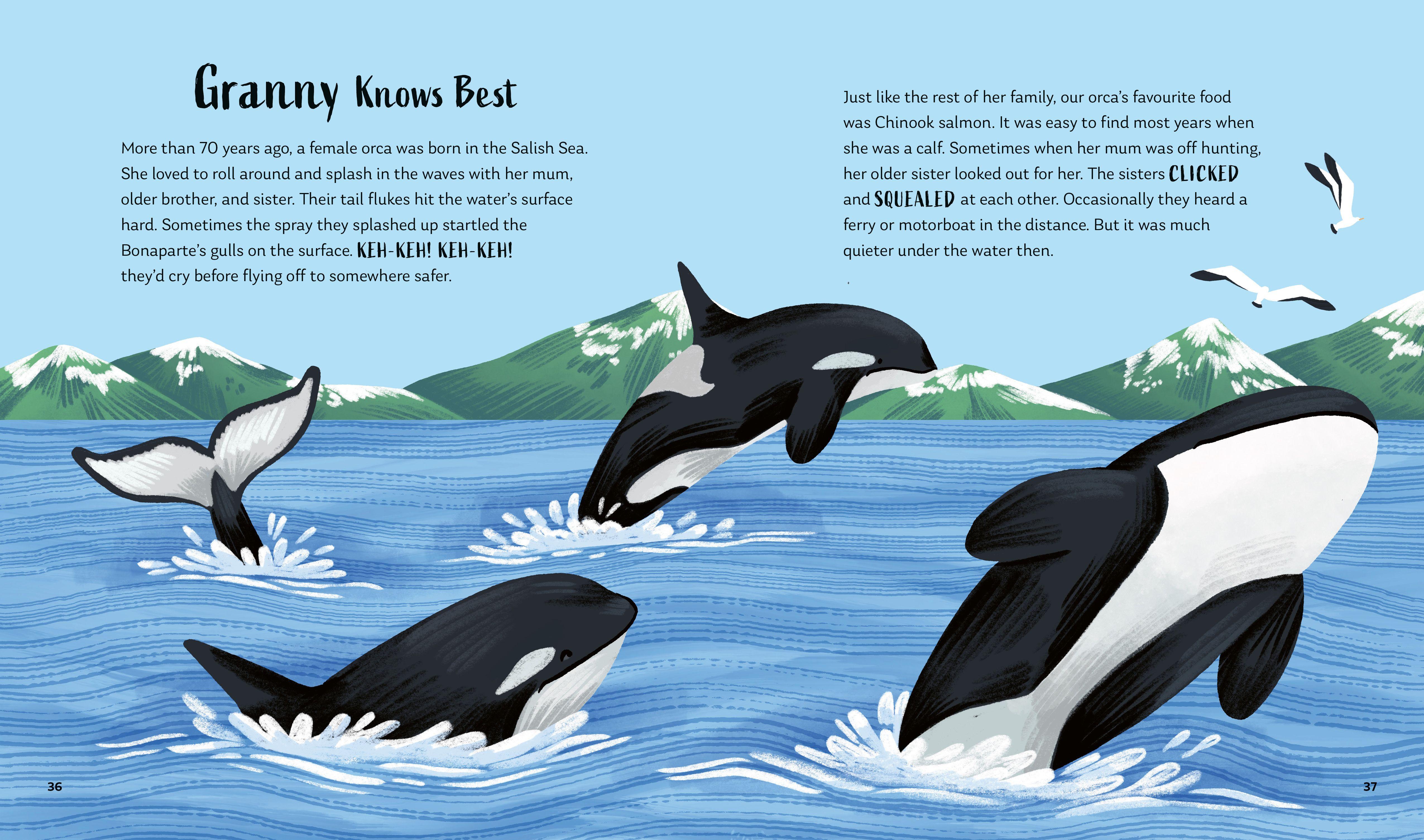 Beispielinhalt (Bild) Secrets of the Ocean