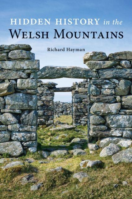 Vorderes Coverbild Hidden History in the Welsh Mountains