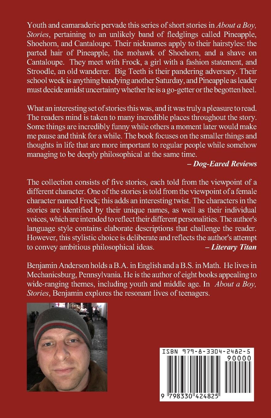Rückseitencover About a Boy, Stories