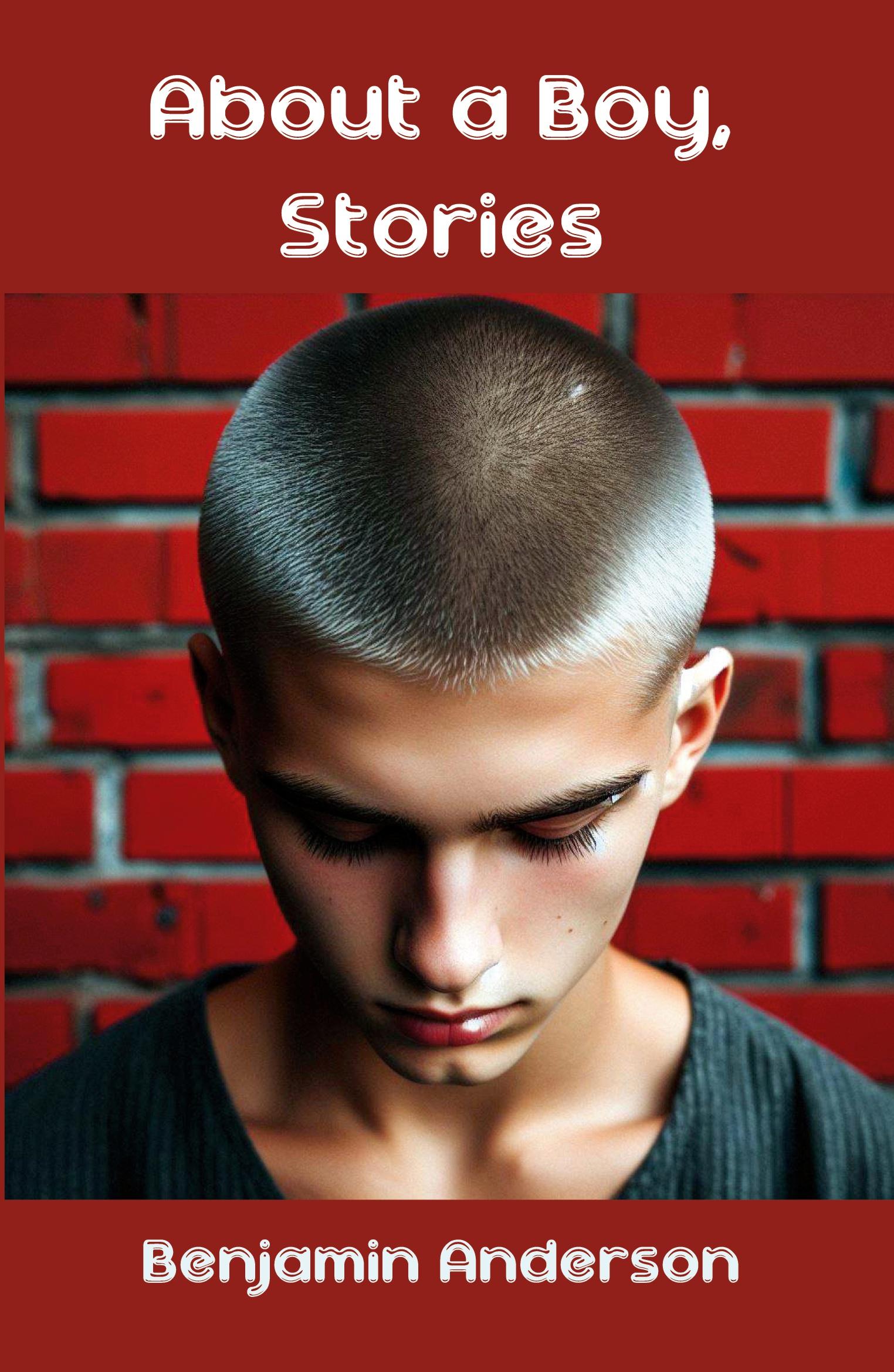 Vorderes Coverbild About a Boy, Stories
