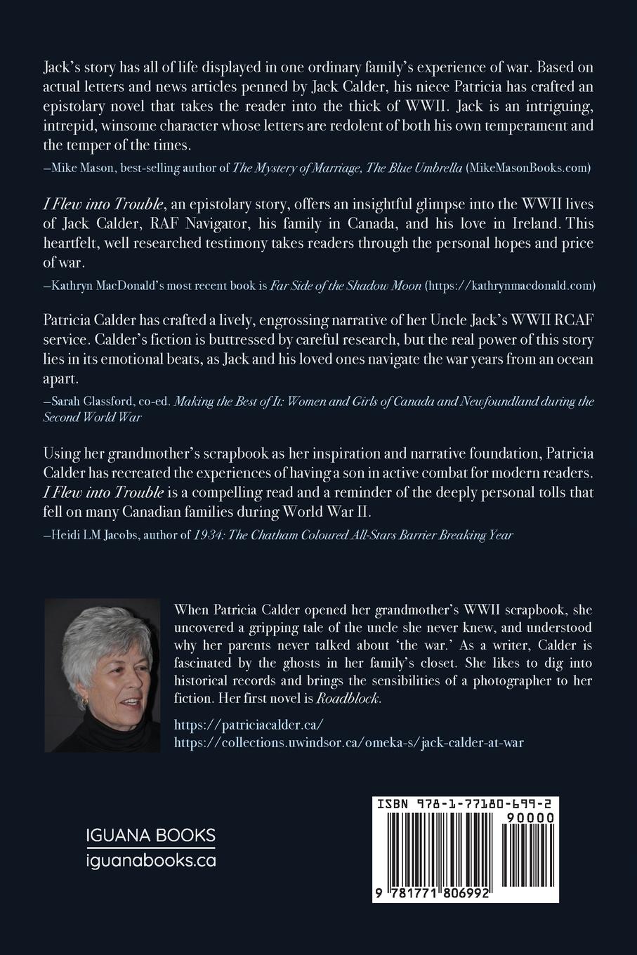 Rückseitencover I Flew Into Trouble