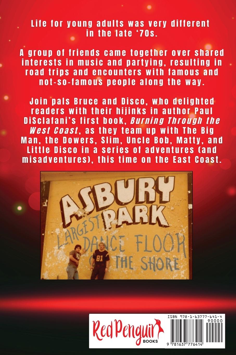 Rückseitencover Meeting Bruce Springsteen ... and Other Tales of Debauchery