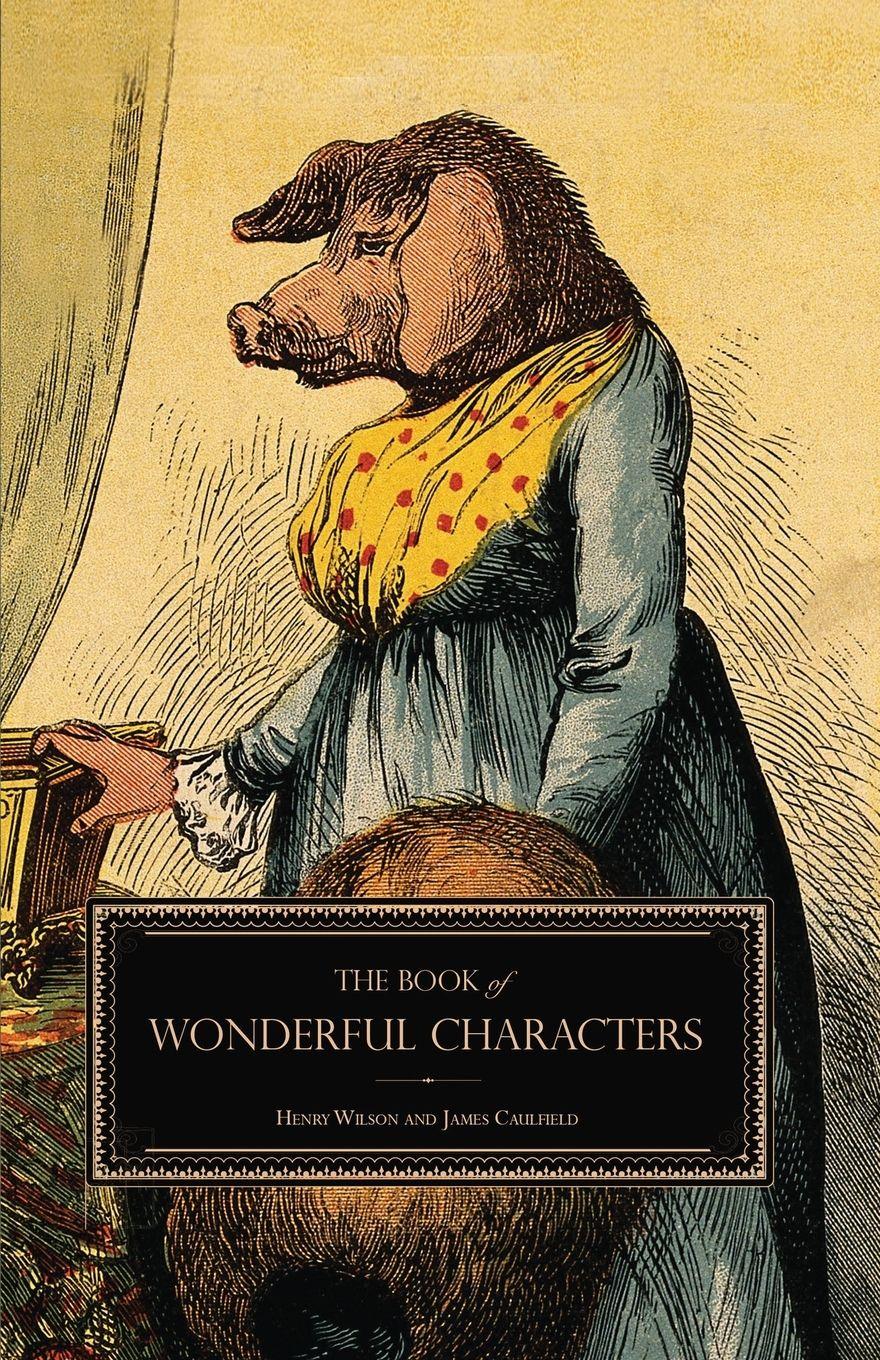 Vorderes Coverbild The Book of Wonderful Characters