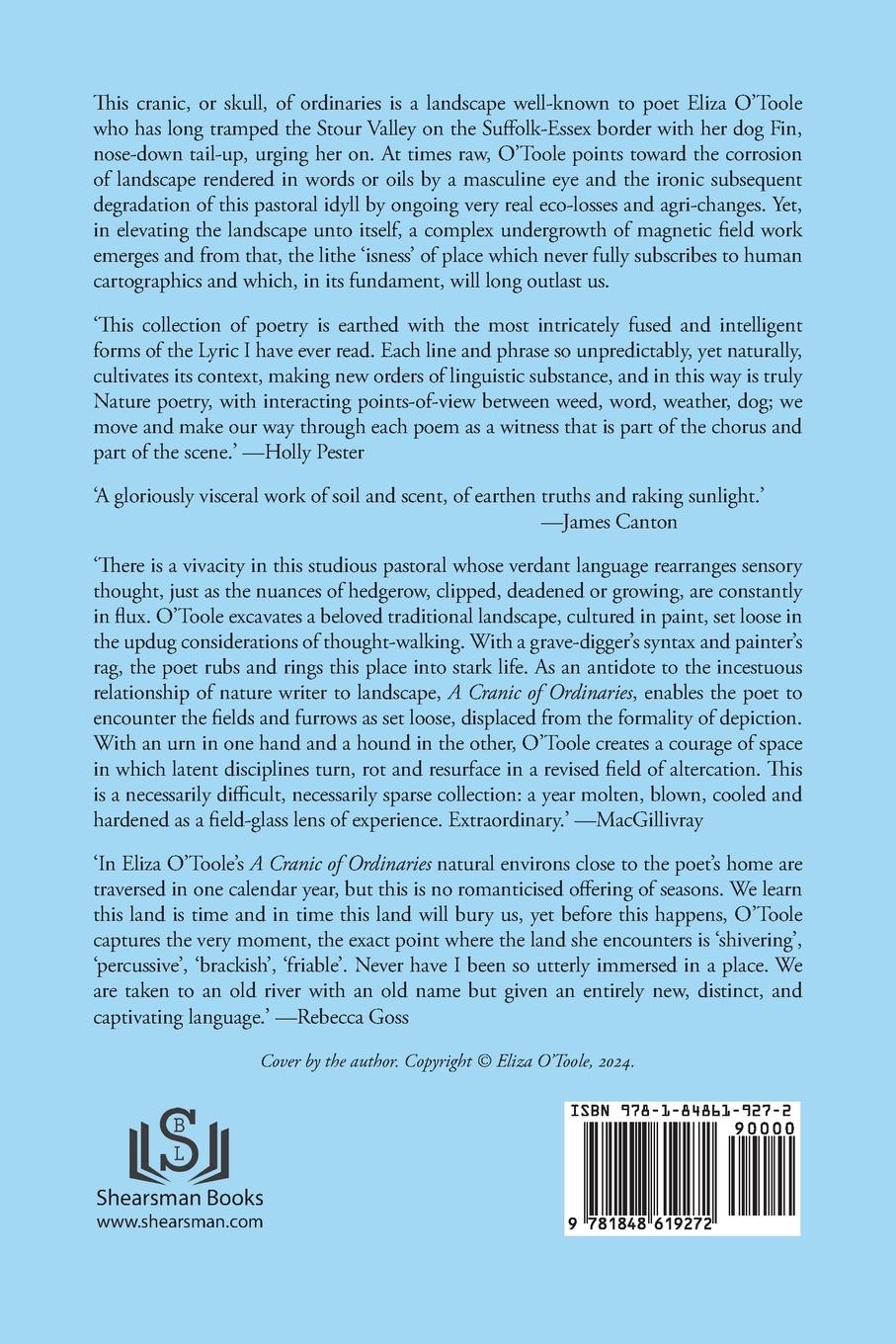 Rückseitencover A Cranic of Ordinaries