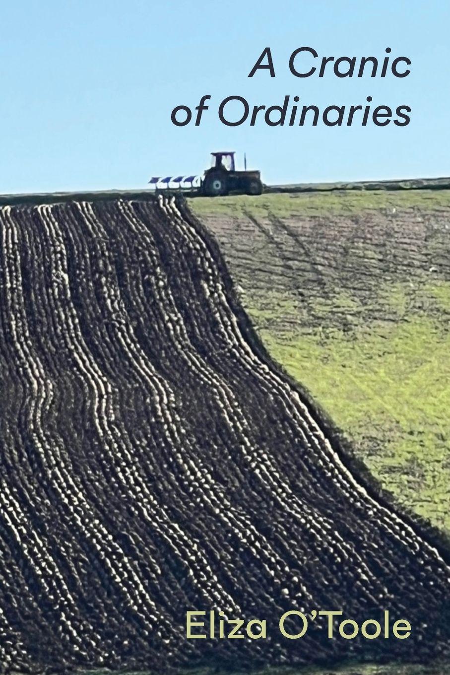 Vorderes Coverbild A Cranic of Ordinaries