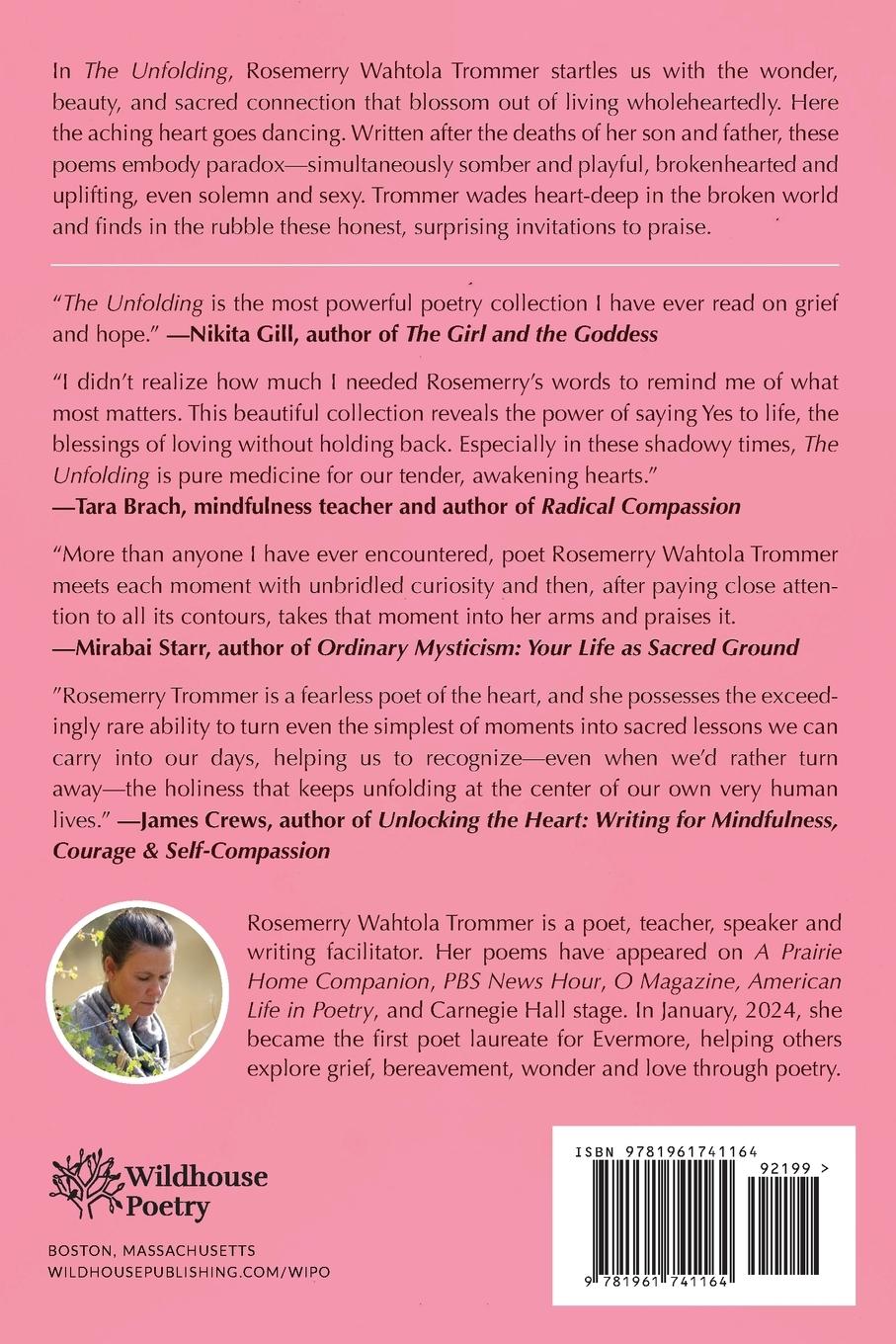 Rückseitencover The Unfolding