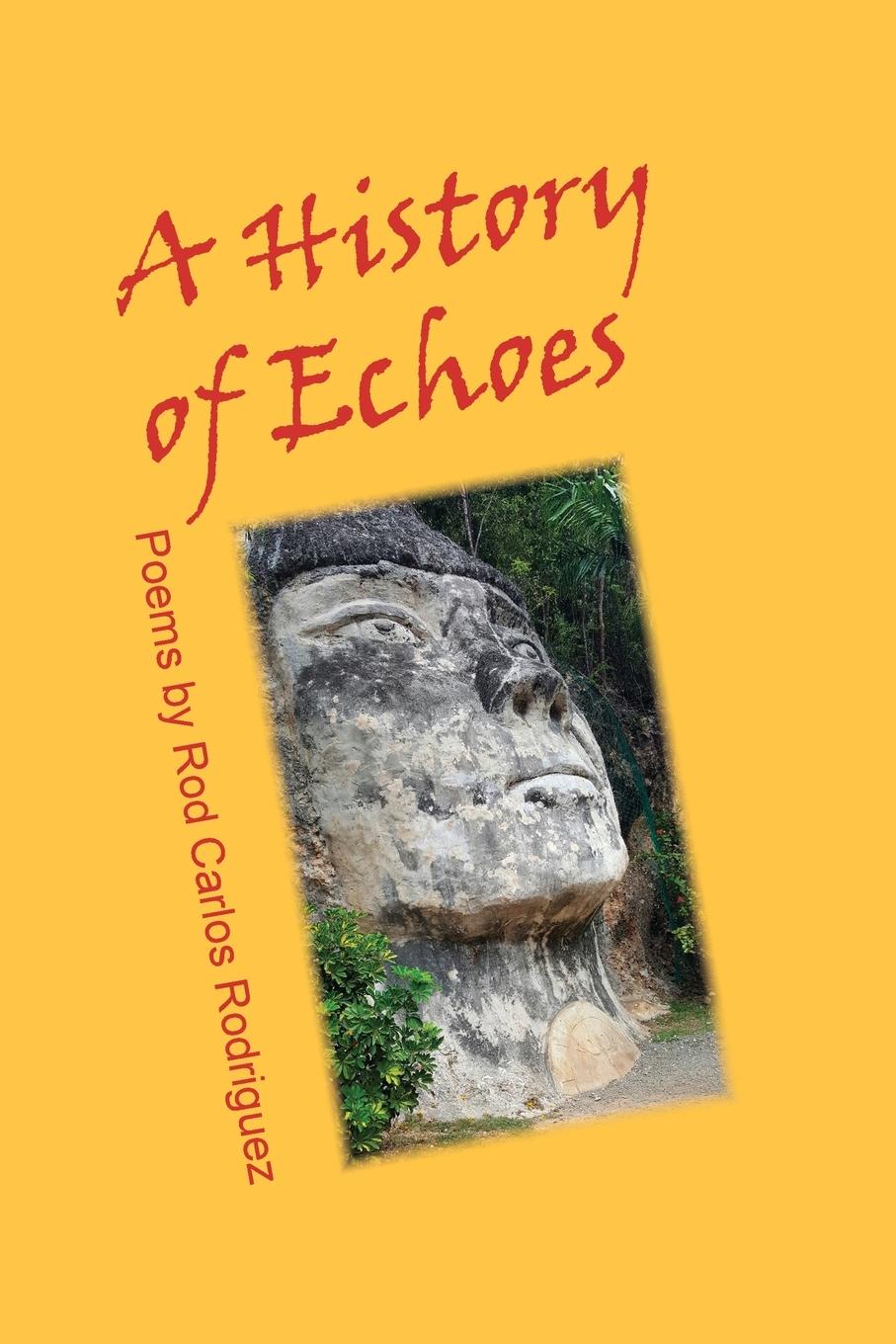 Vorderes Coverbild A History of Echoes