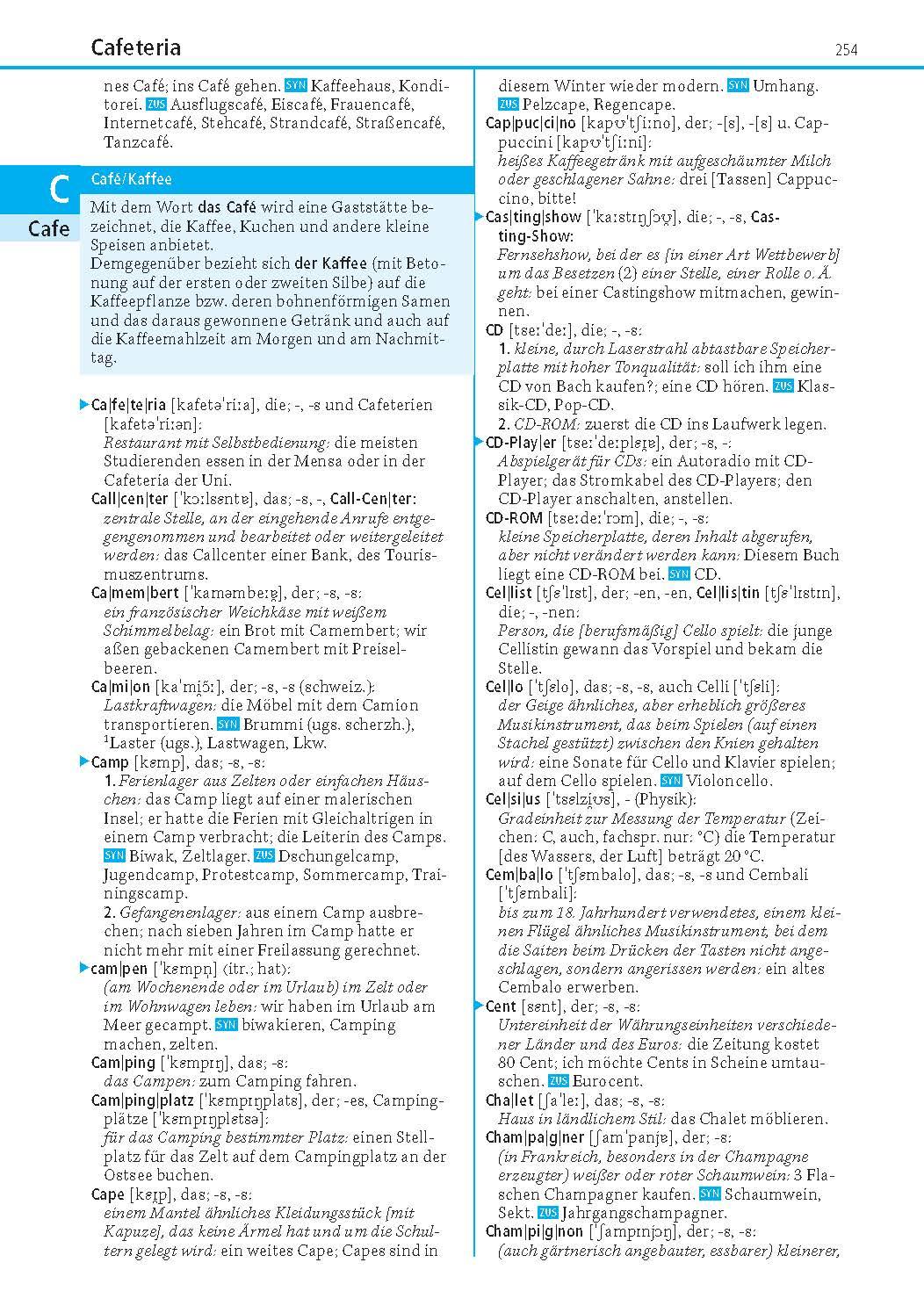 Beispielinhalt (Bild) Das Bedeutungswörterbuch